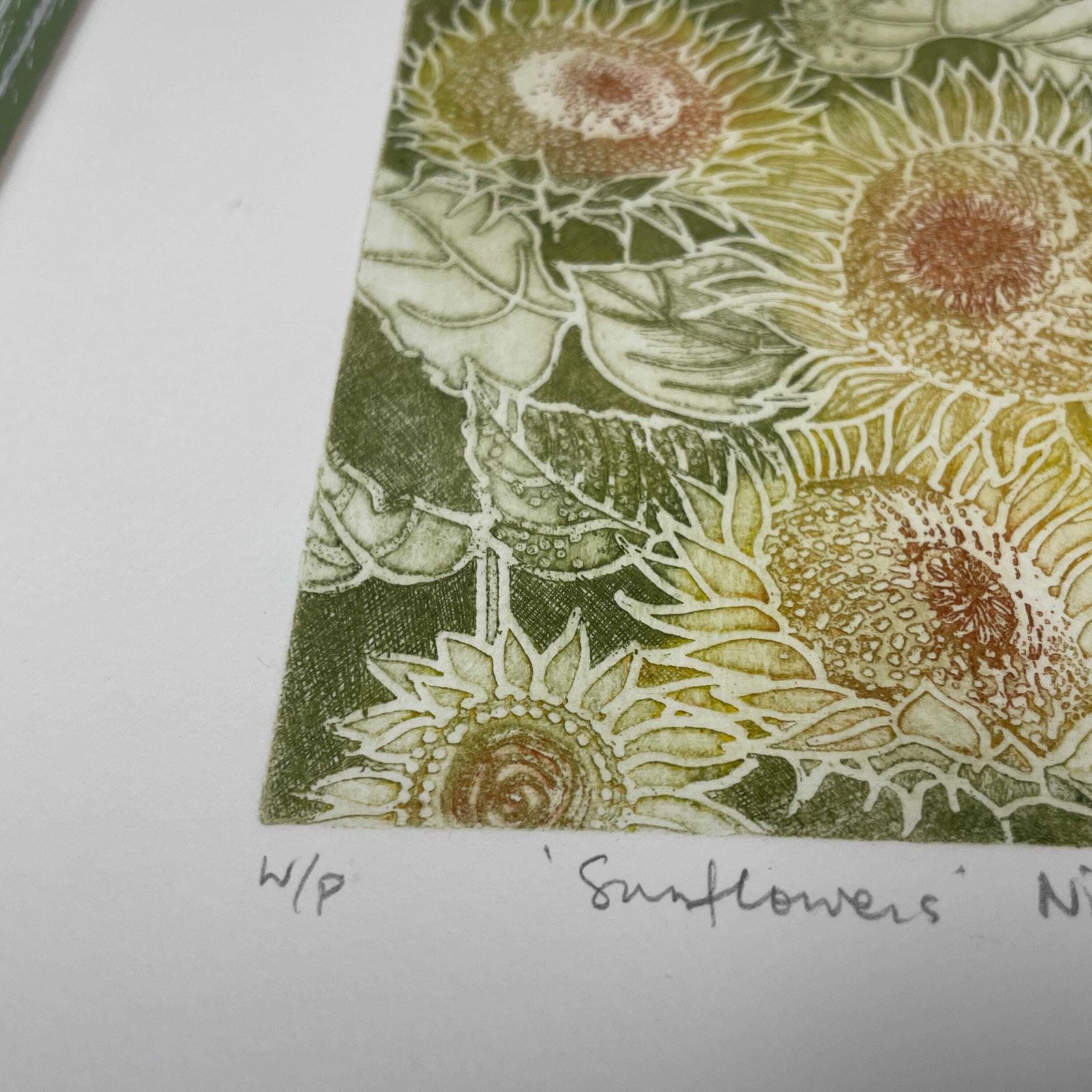 Original Sunflowers Etching Nicolette W/P Savage Framed Botanical Art Hand Coloured Floral Print Green Frame Natural Flower Artwork photo Art