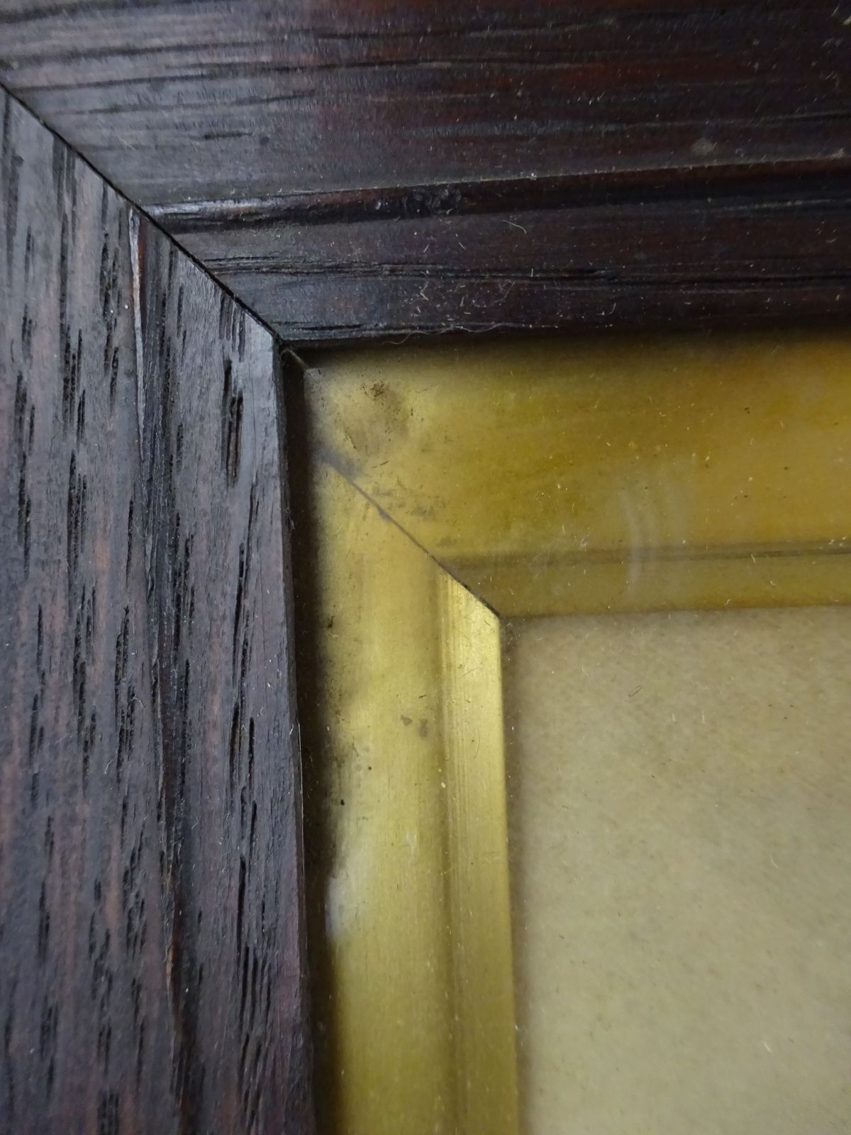 Framed Late Victorian Photo Portrait Of A Gentleman photo furniture