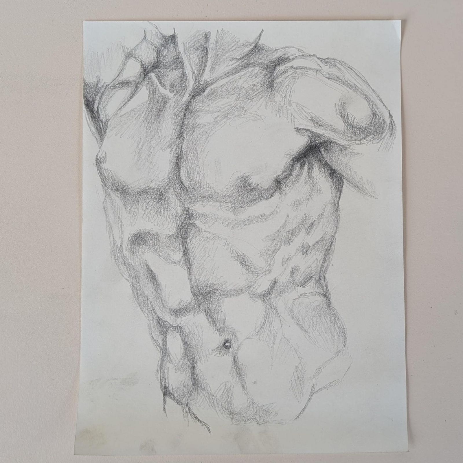 photo furniture Vintage French Graphite Figure Drawings Set 7 Anatomical Sketches & Nude Studies