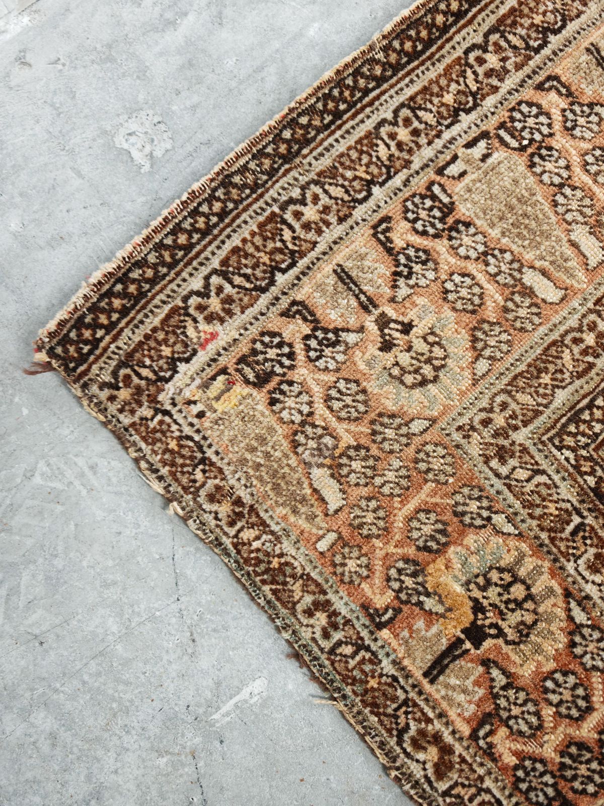 Antique Tabriz Rug In Superb Tones, 100% Wool, West Asia 1920s photo 1300.0
