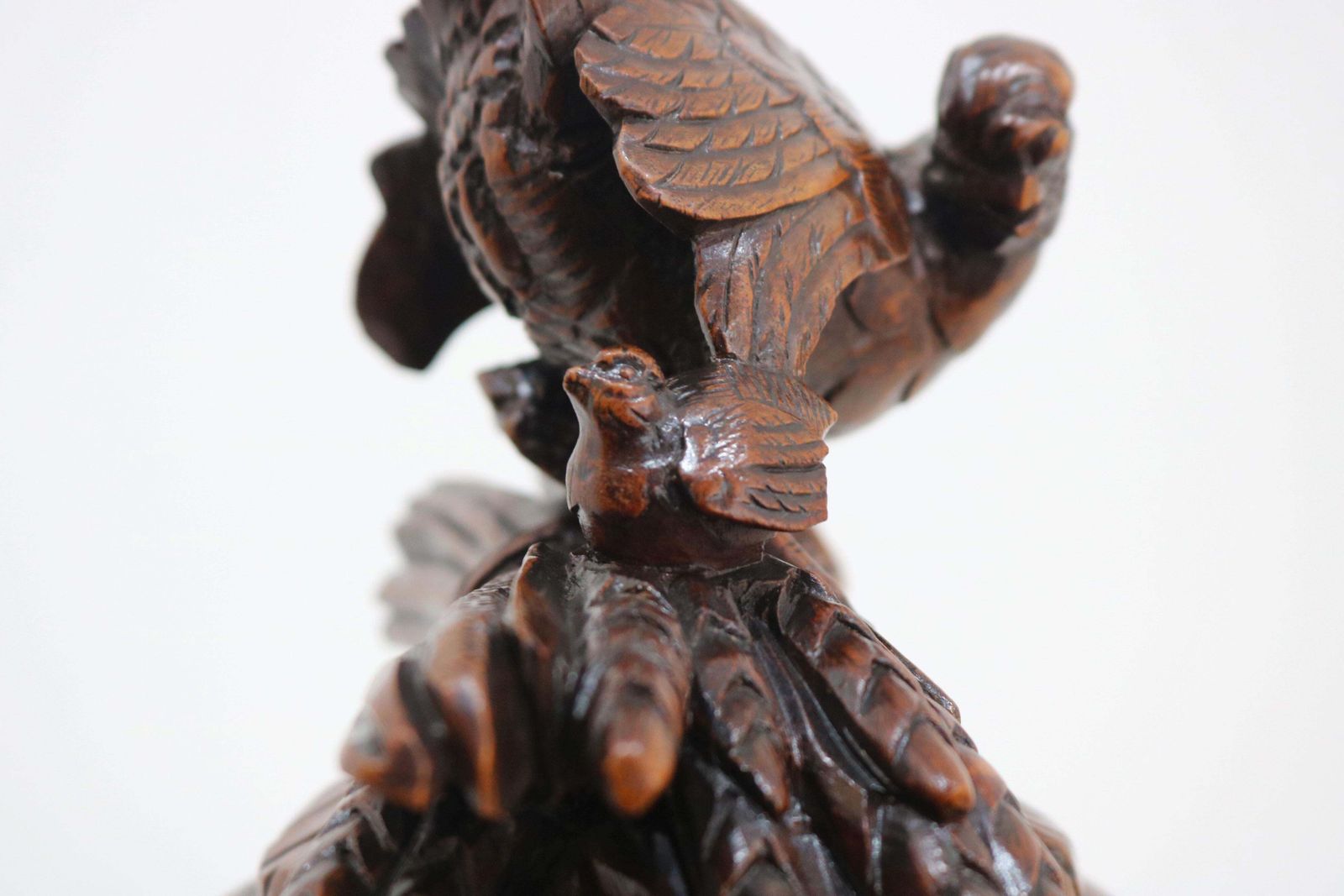 photo furniture Rare Large Swiss Black Forest Tobacco Box With Chickens 19th Century Humidor