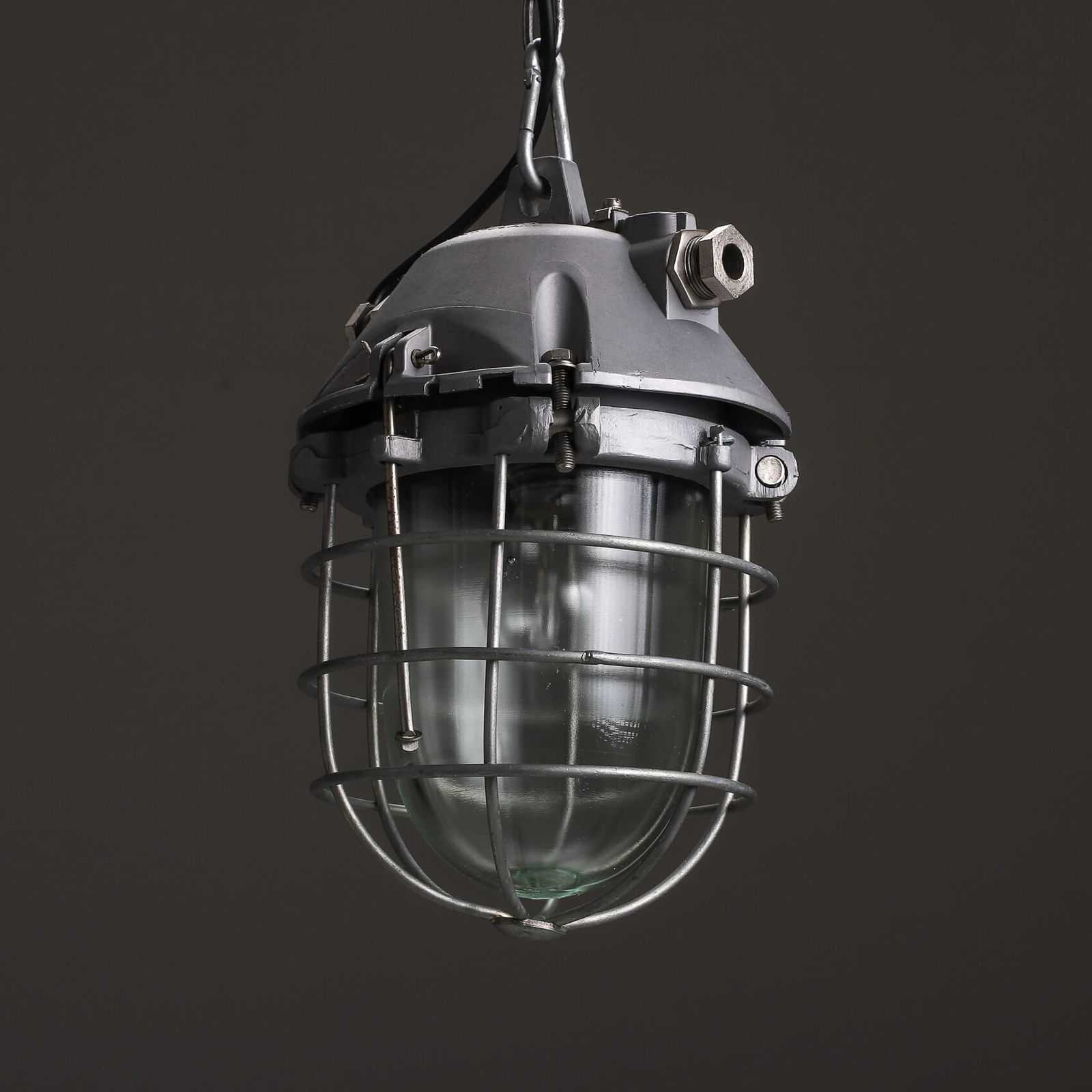 Large Polam Wilkasy Caged Pendant Lights photo Lighting