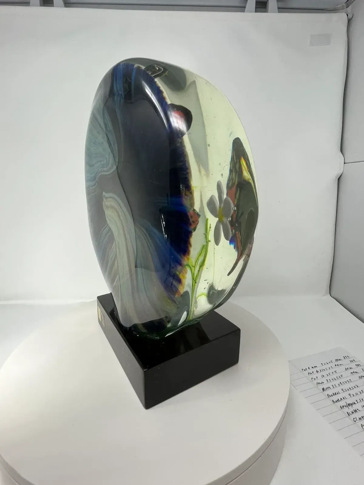 Butterfly Terrarium Made Of Murano Glass photo Art