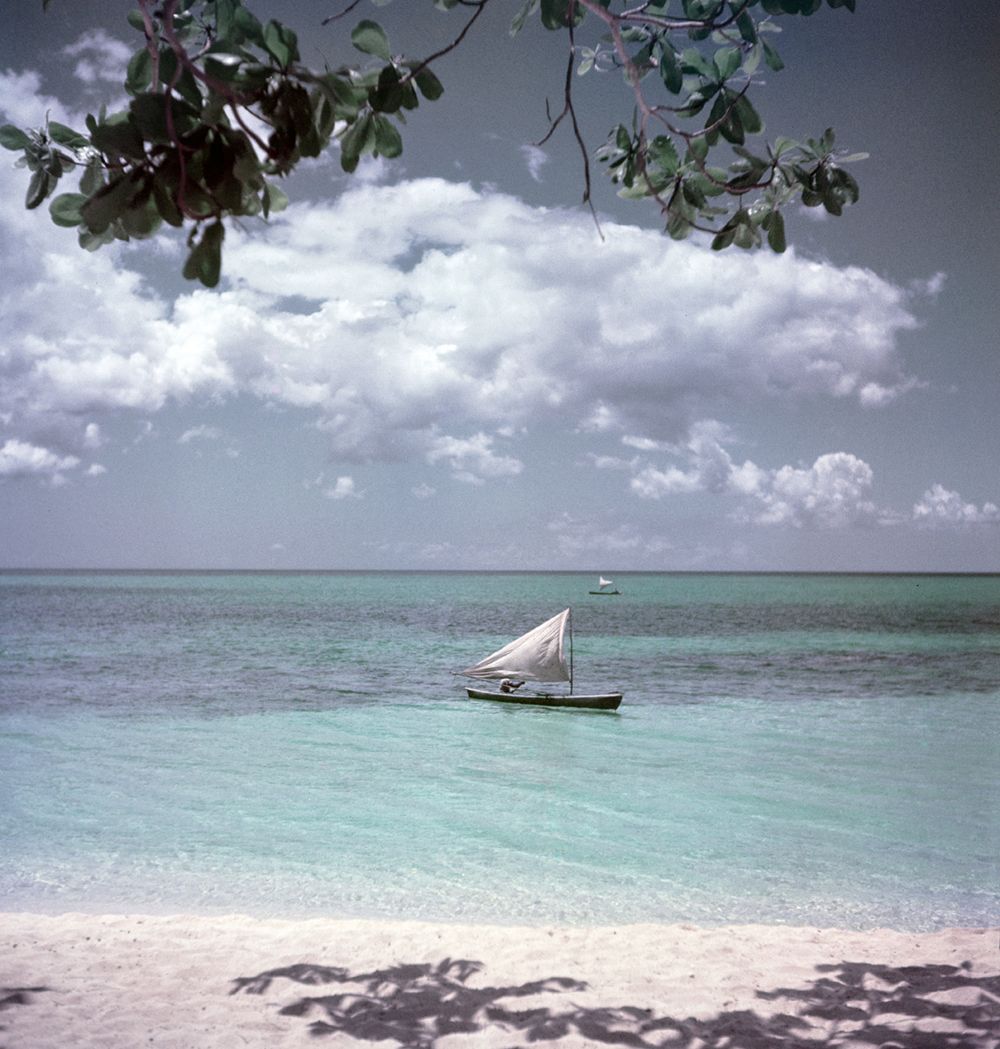 Toni Frissell 'Jamaica Sailing' Archival Pigment Print Framed In Brown