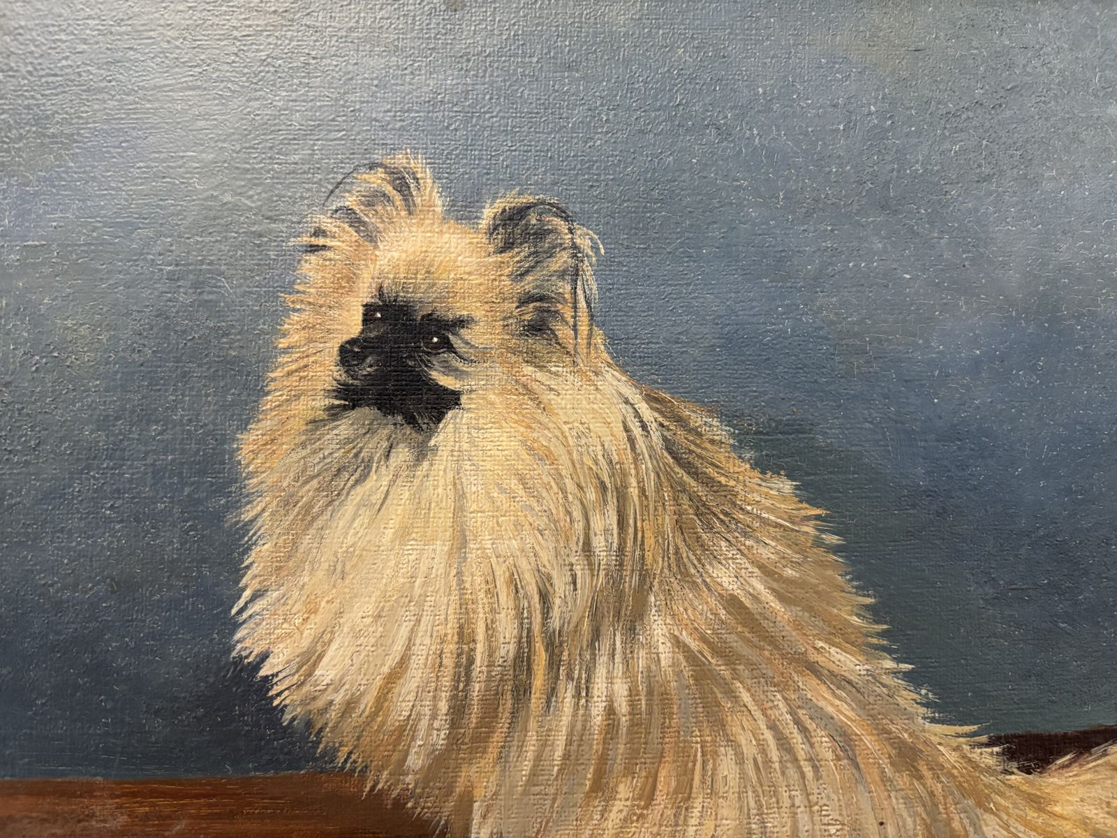 Charming 1930s Oil Painting Portrait Of Pekinese Dog photo for sale