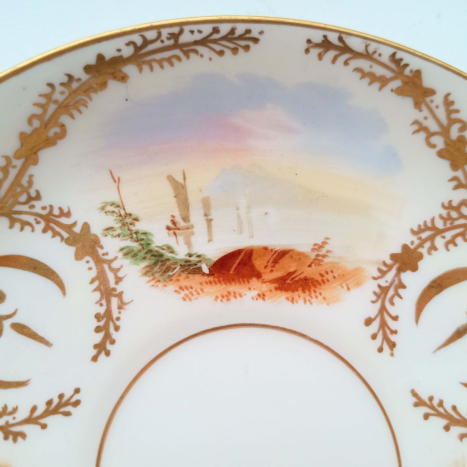 Antique Hand Painted Landscape And Gilt Crests Porcelain Cup & Saucer, Austria 19th Century photo 125.0