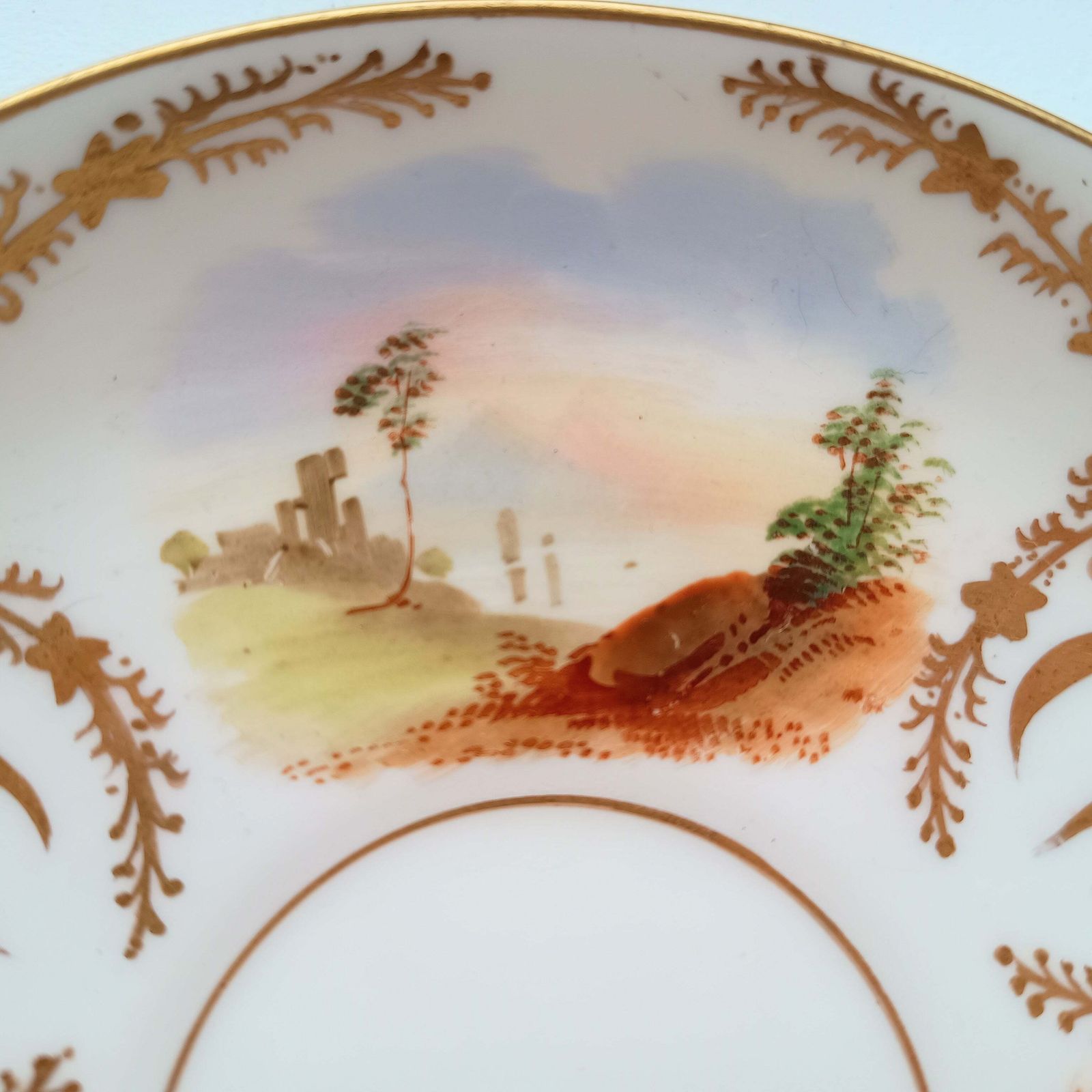 Home Decor Antique Hand Painted Landscape And Gilt Crests Porcelain Cup & Saucer, Austria 19th Century photo