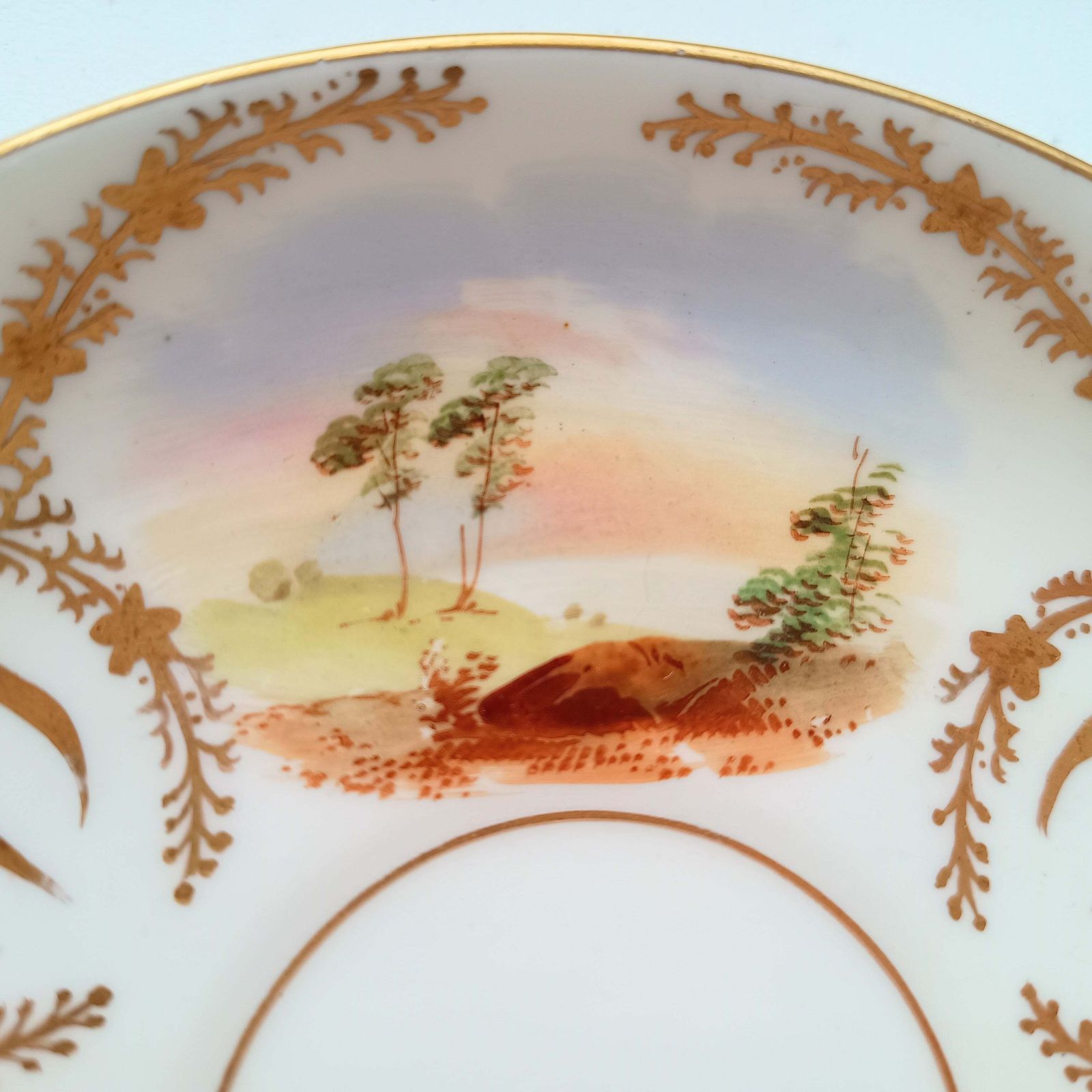 photo vinterior Antique Hand Painted Landscape And Gilt Crests Porcelain Cup & Saucer, Austria 19th Century