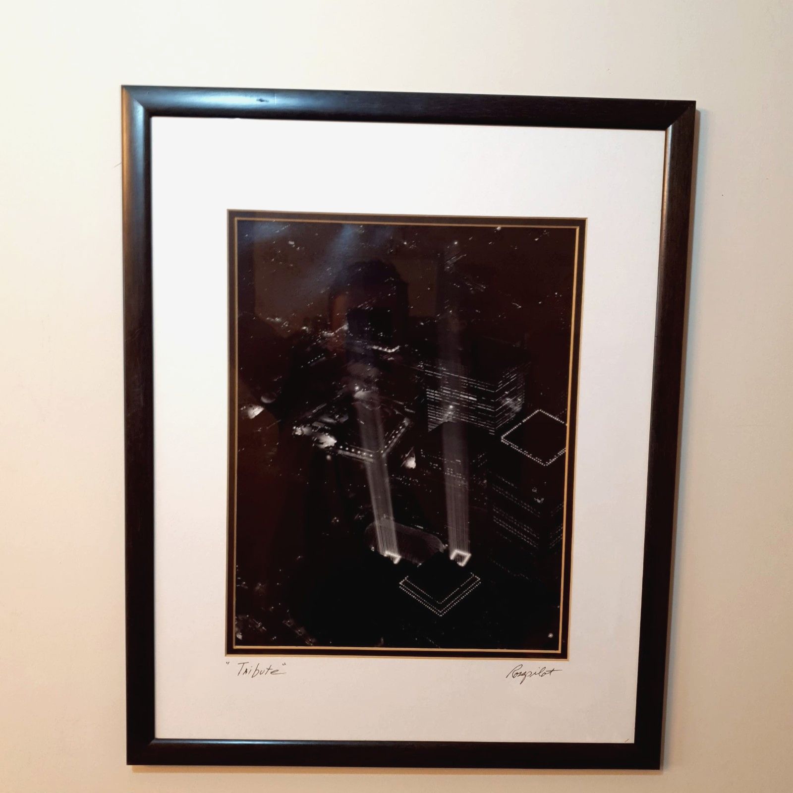 Twin Towers Tribute Photo Print Ross Pilot Projected Lights Signed Award Winner photo for sale