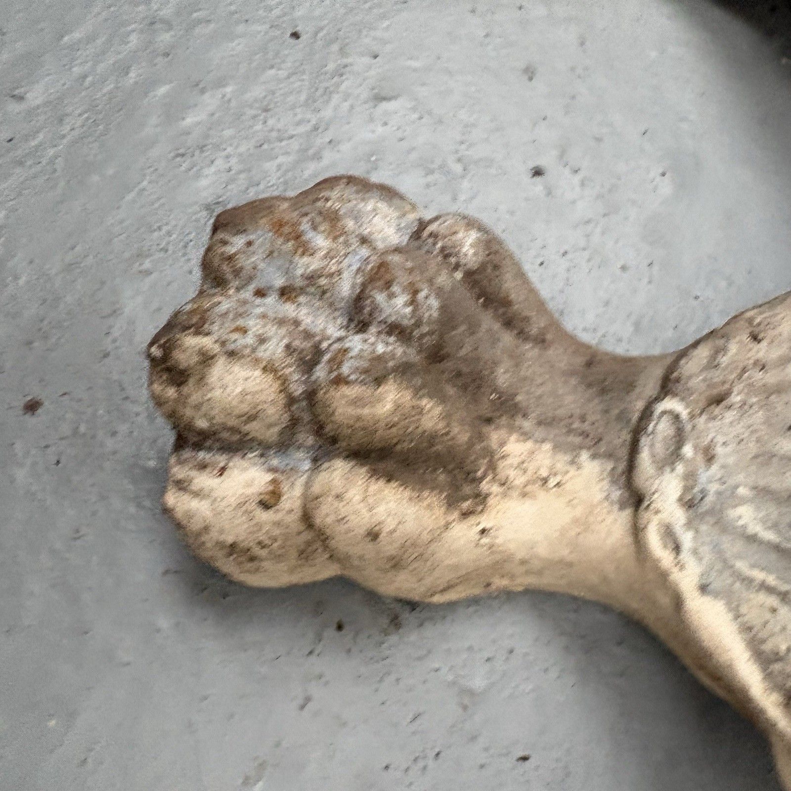 Set Four Antique Victorian Lion Paw Cast Iron Bath Feet photo 60.0