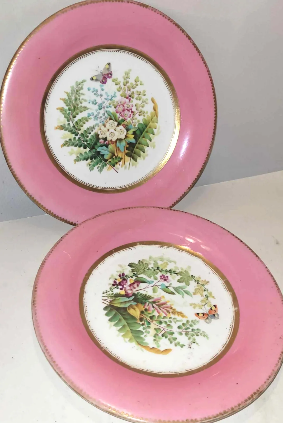 2x Antique China Plates Pink Gold Edging Butterfly Floral Panel 9" Worcester ?