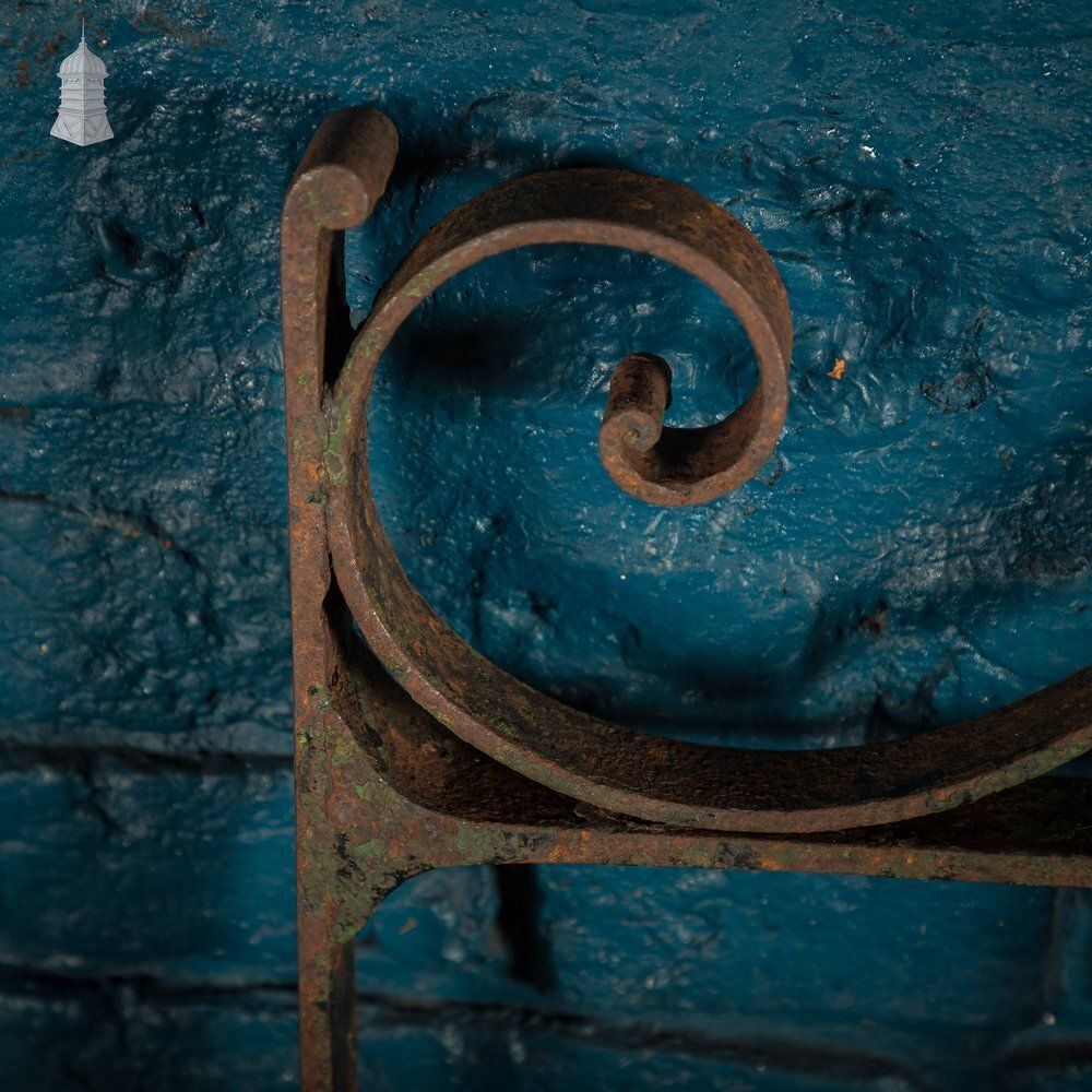 Scrollwork Garden Gate, 19th C Wrought Iron Gate photo furniture