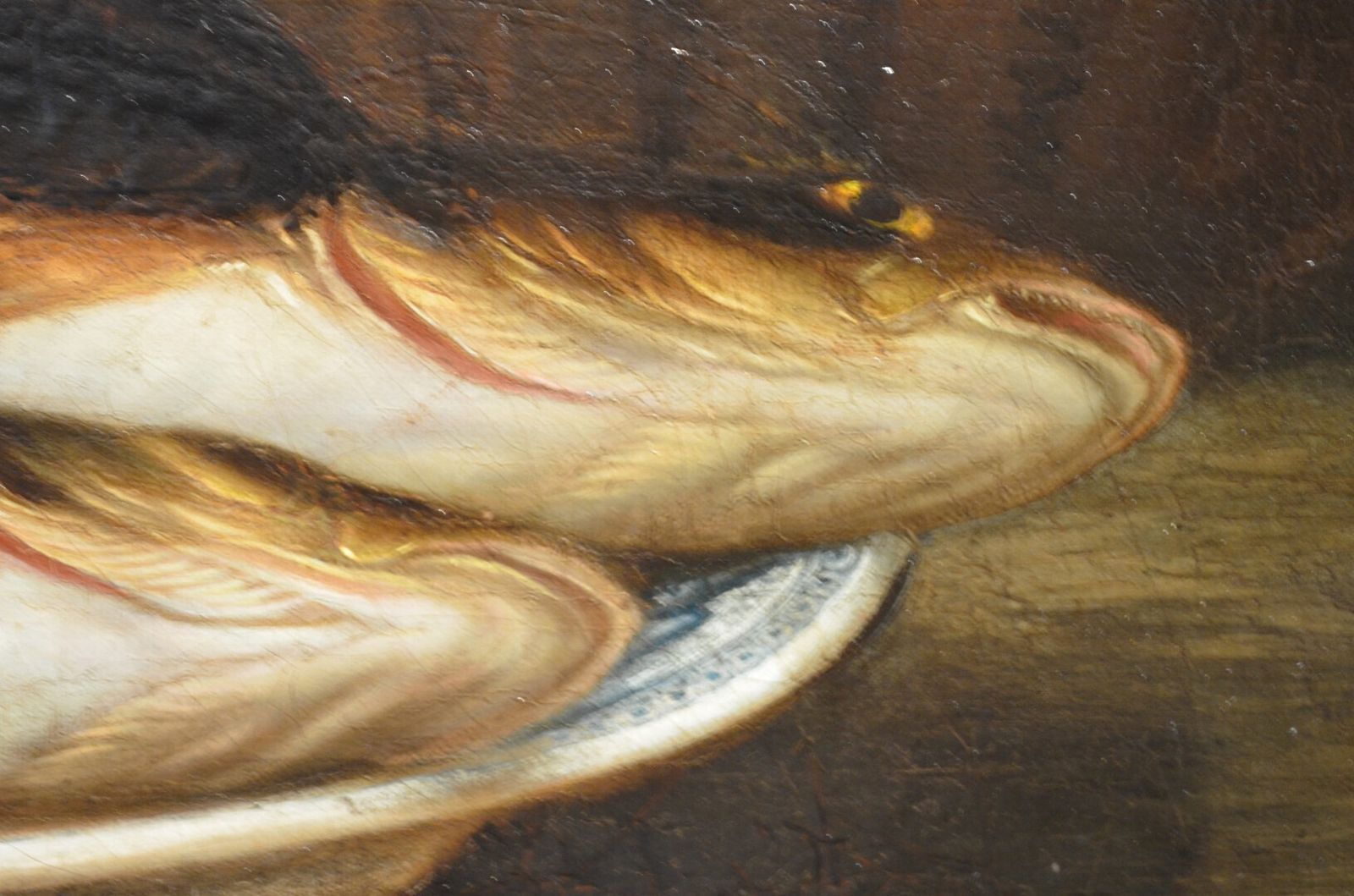 Art 19thc Oil Of Cat And Fish Attributed To Horatio Henry Couldery photo