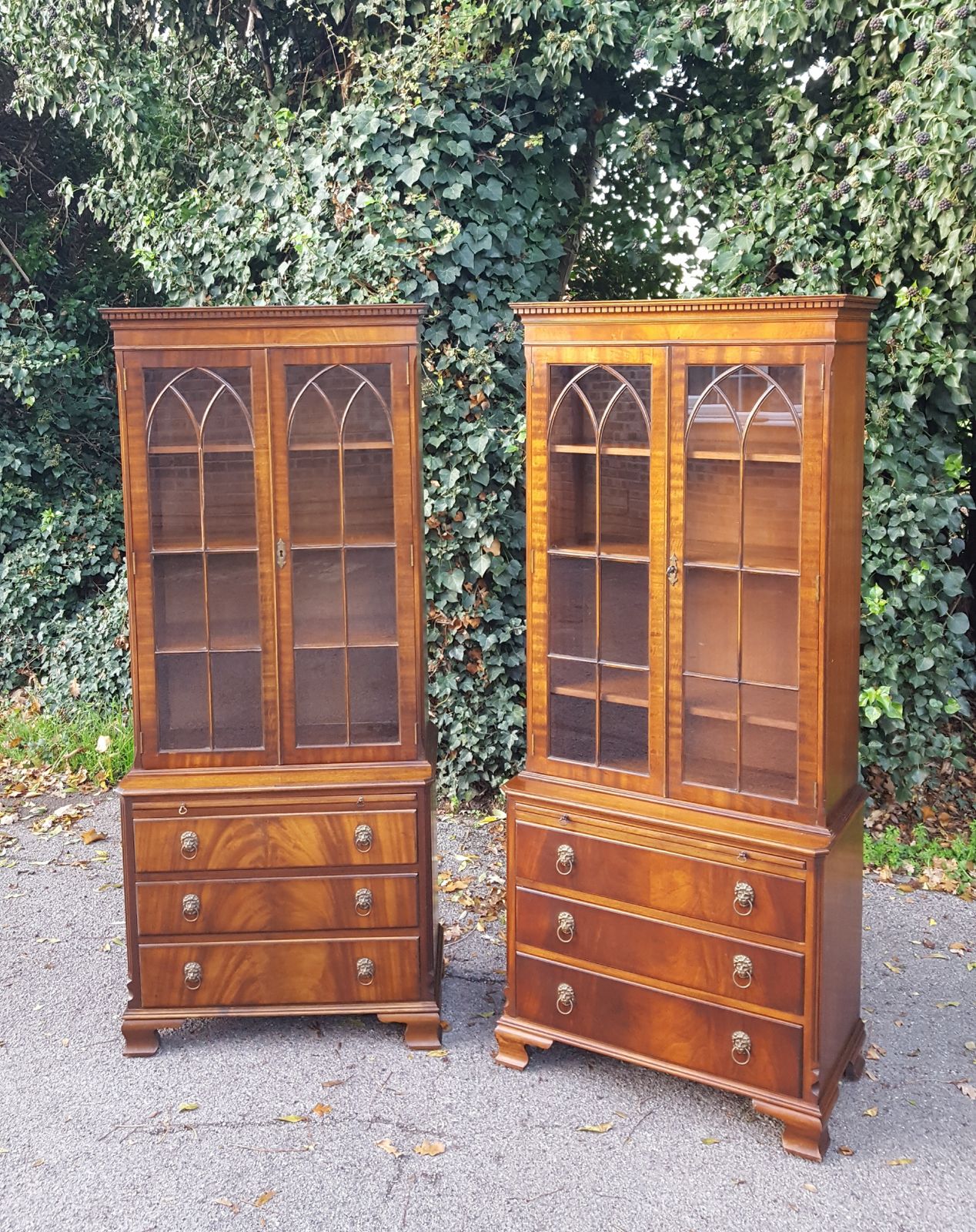 Matching Pair Of Mahogany Bookcases photo 875.0