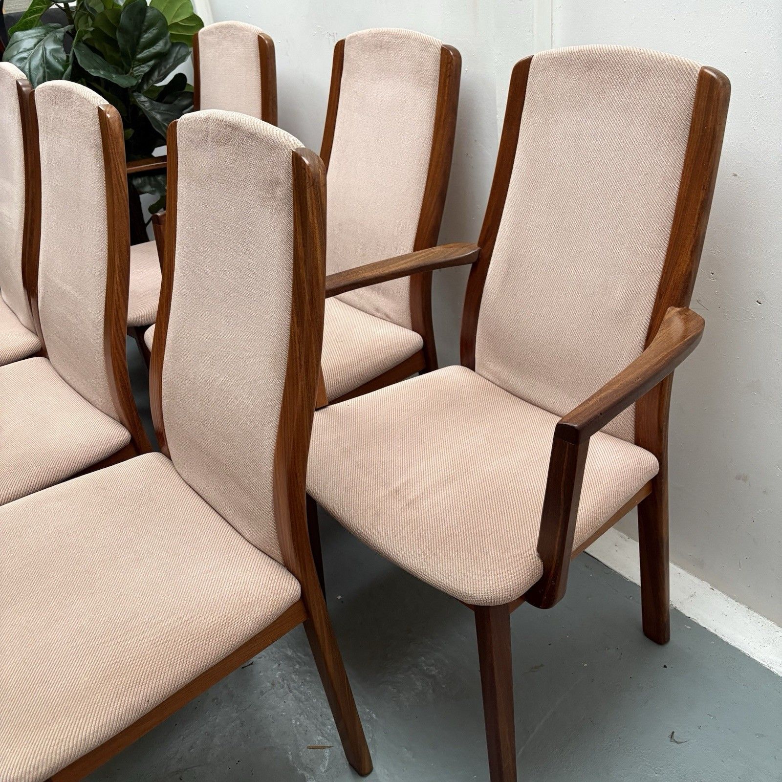 Set Of 6 G Plan Fresco Teak Dining Chairs Original Dusky Pink Upholstery Covers photo buy