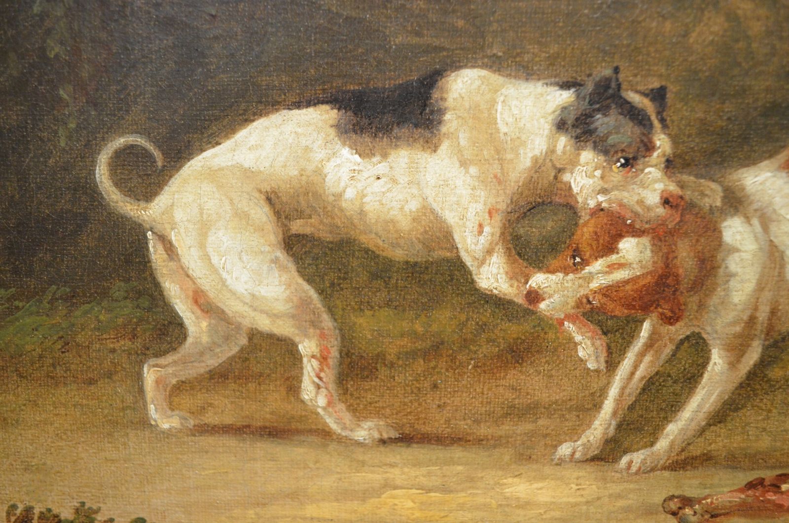 photo buy Fabulous Oil Painting Of Fighting Dogs By James Ward Ra 1769   1859