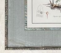 Pair Of Large Botanical Fern Prints – Osmunda Spicant & Polypodium Vulgaris. 99x84cm Each photo furniture