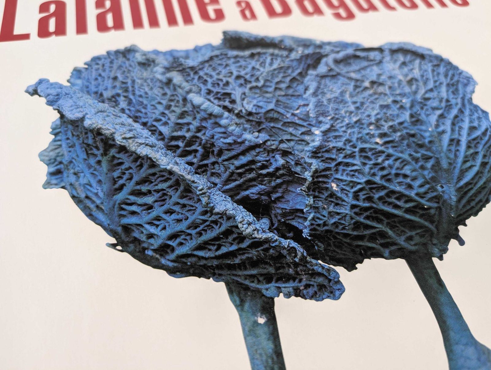 Original Exhibition Poster Of Les Lalanne "à Bagatelle" Hand Signed, 1998 photo Art