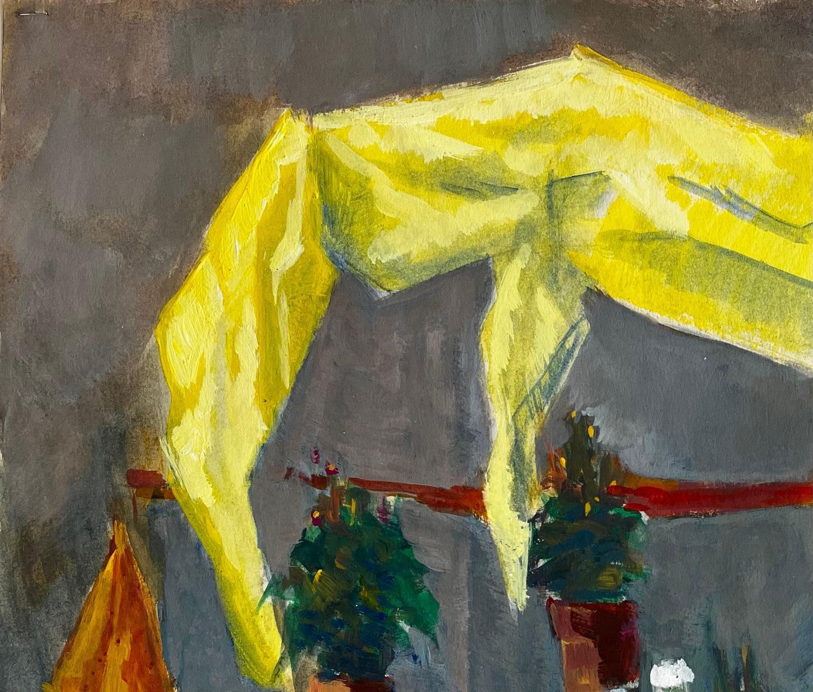 Guy Nicodyellow Draped Cloth Bottles Glassware And Potted Plants Modernist Still Life photo 647.0