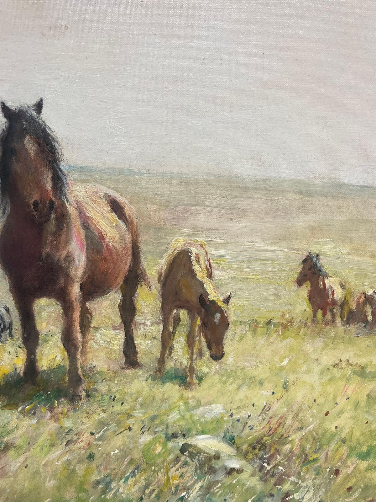 English School Dartmoor Ponies On Moor Landscape Fine English 1950's Impressionist Oil Painting photo for sale