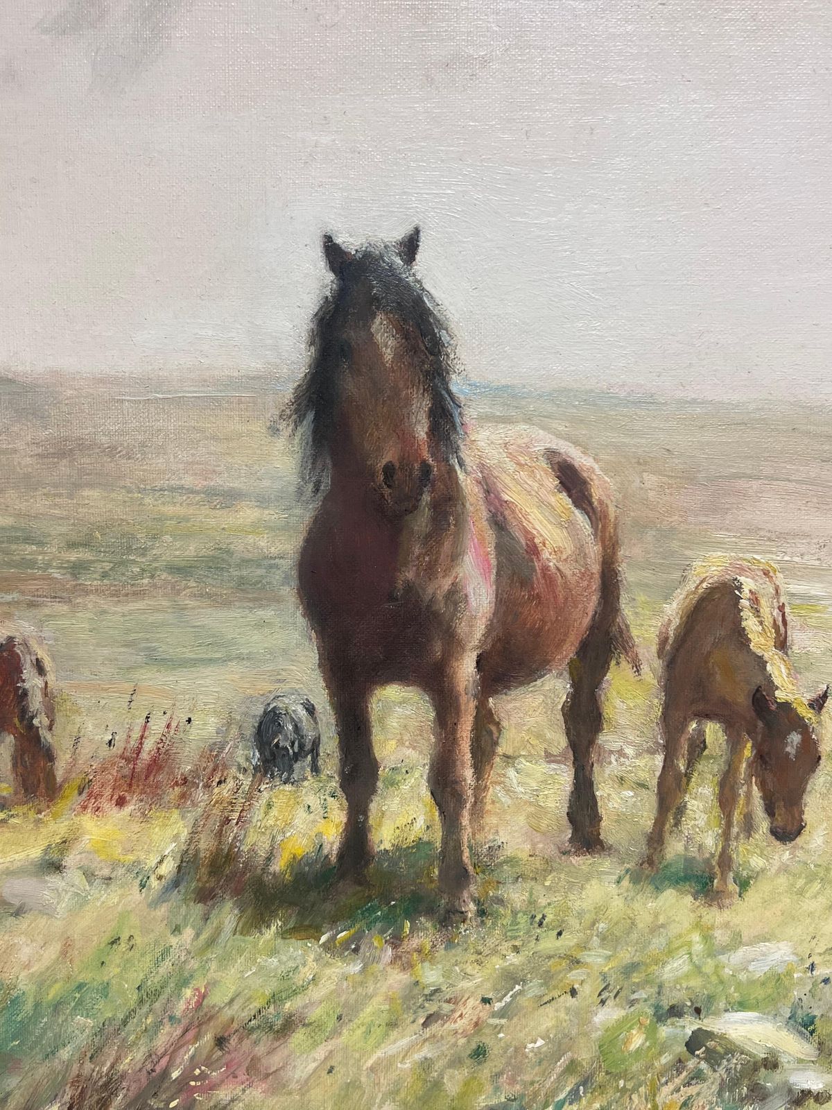 English School Dartmoor Ponies On Moor Landscape Fine English 1950's Impressionist Oil Painting photo Art