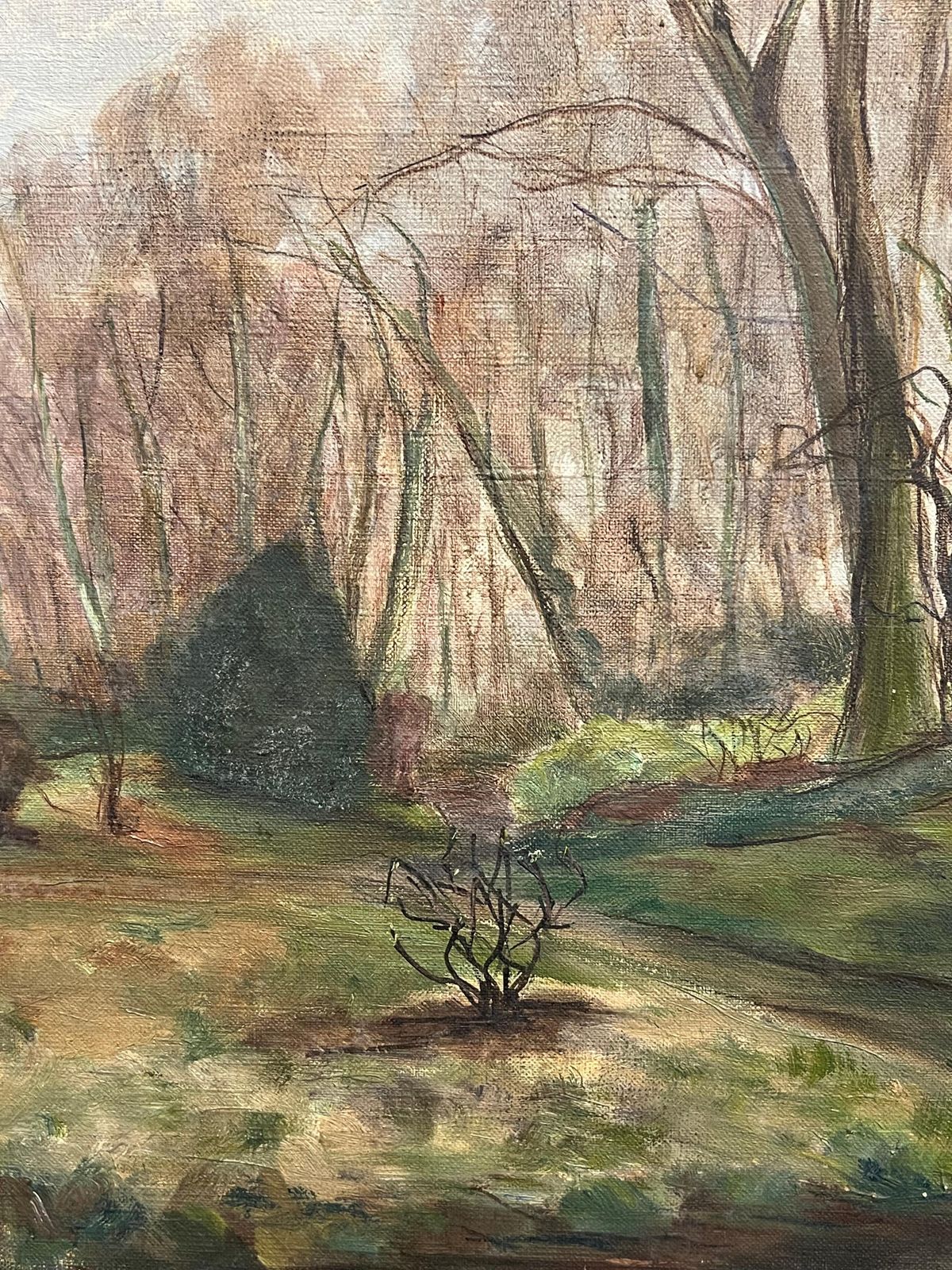 French Schoolwoodland In Early Spring Green Sunlight 1930's French Impressionist Oil1930's photo 495.0