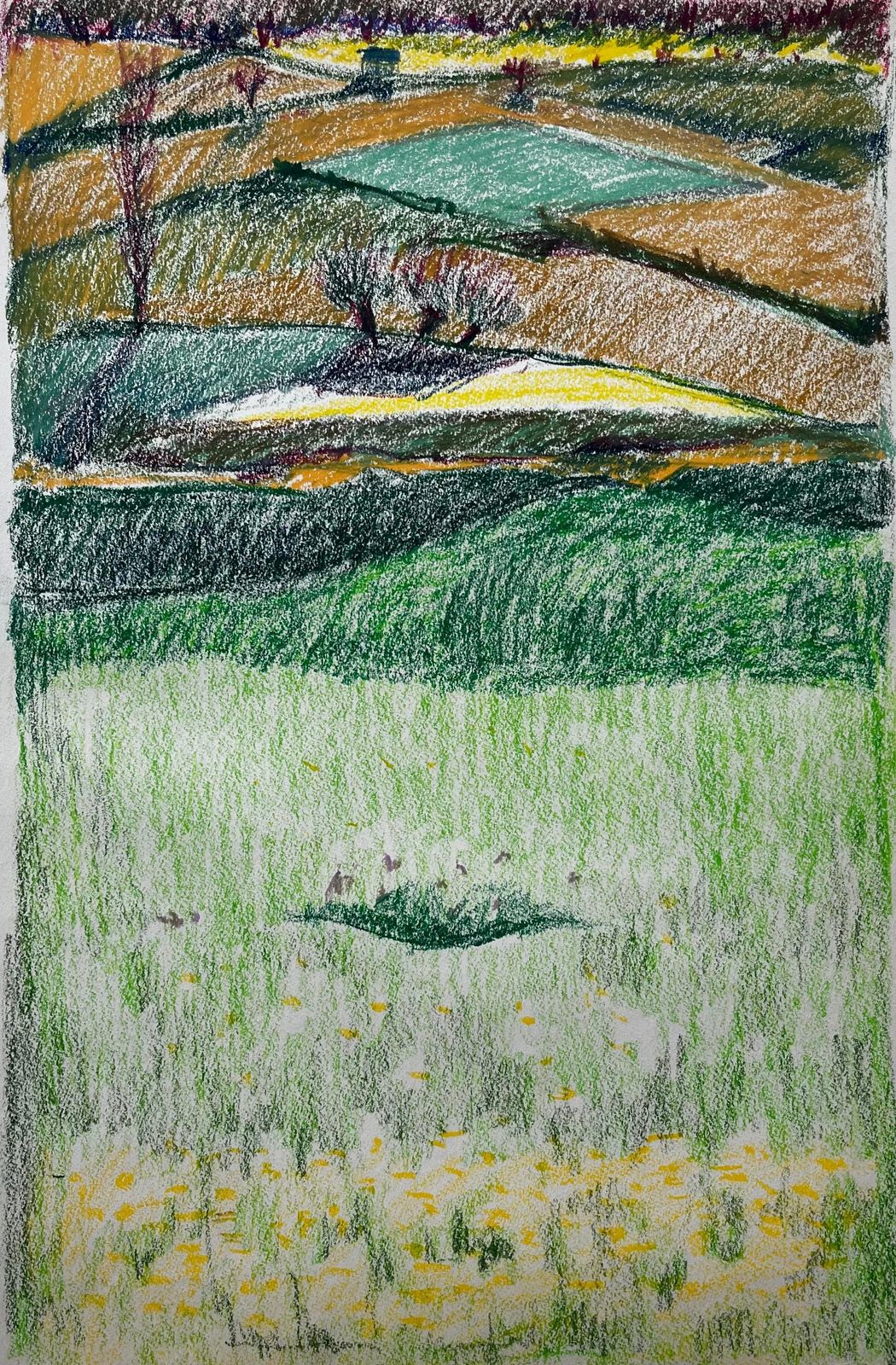 Guy Nicodfrench Rolling Hills With Meadows And Wildflowers Pastel Landscape Drawing