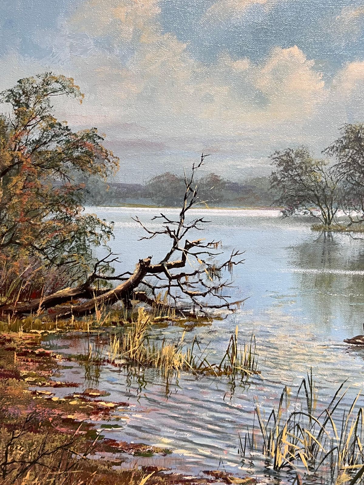 Don Vaughanlarge Traditional English Summer River Landscape Oil Painting Swans Cygnets photo furniture