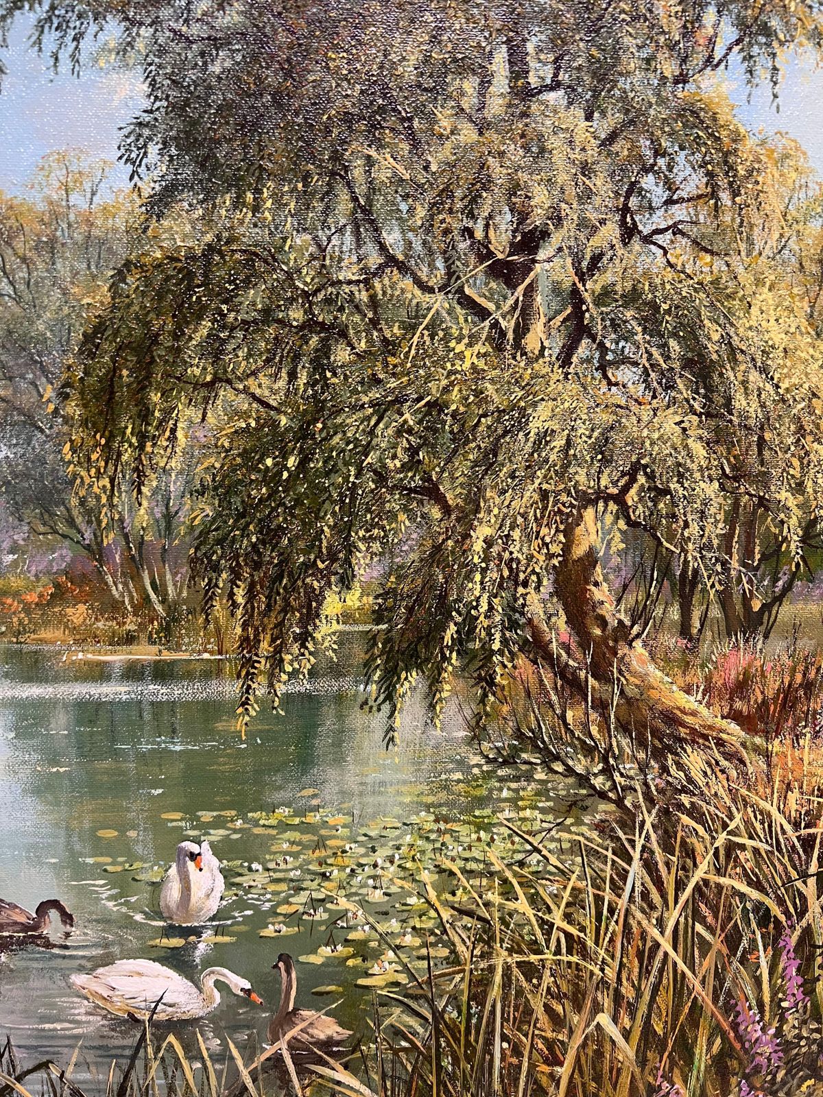 Don Vaughanlarge Traditional English Summer River Landscape Oil Painting Swans Cygnets photo buy