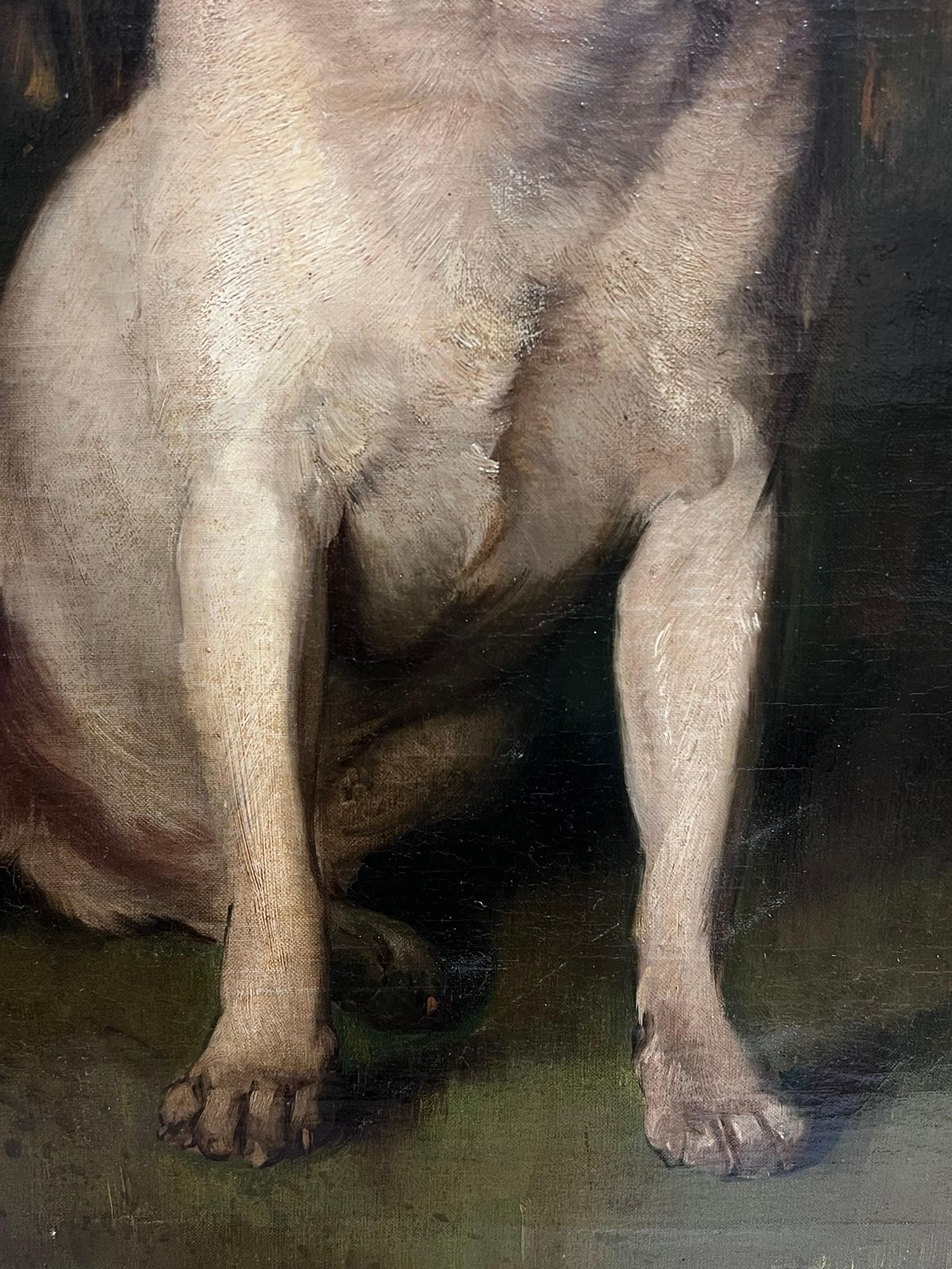 French School Fine 19th Century French Dog Oil Painting Portrait Of A Pug In Wooded Landscape photo vinterior