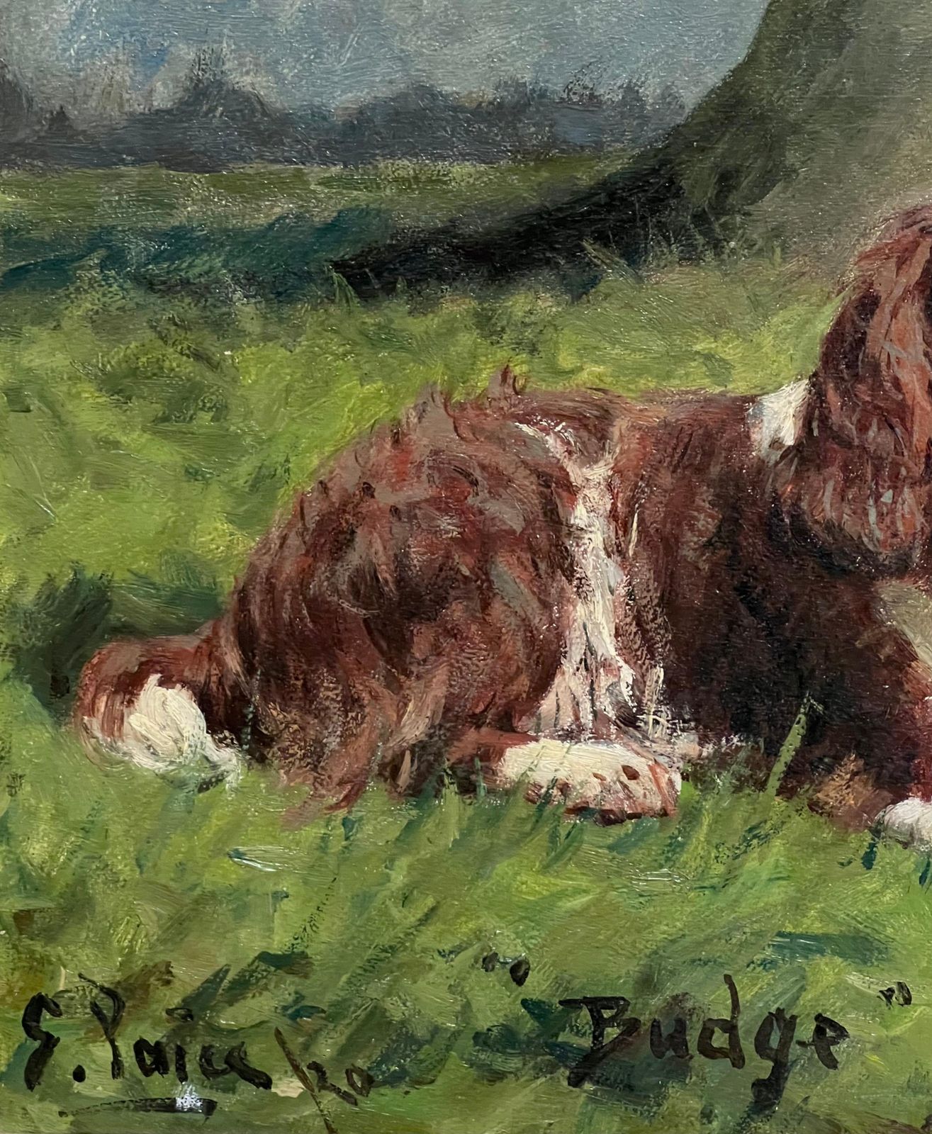 George Paiceantique English Dog Oil Painting Portrait Of Springer Spaniel Titled  Dated 19201920 photo Art