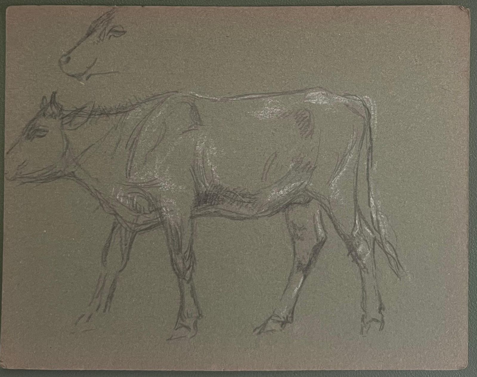 John Rabone Harveybritish Chalk Pencil Sketch Of A Cow Side Profile And Face Sketch1966 photo furniture