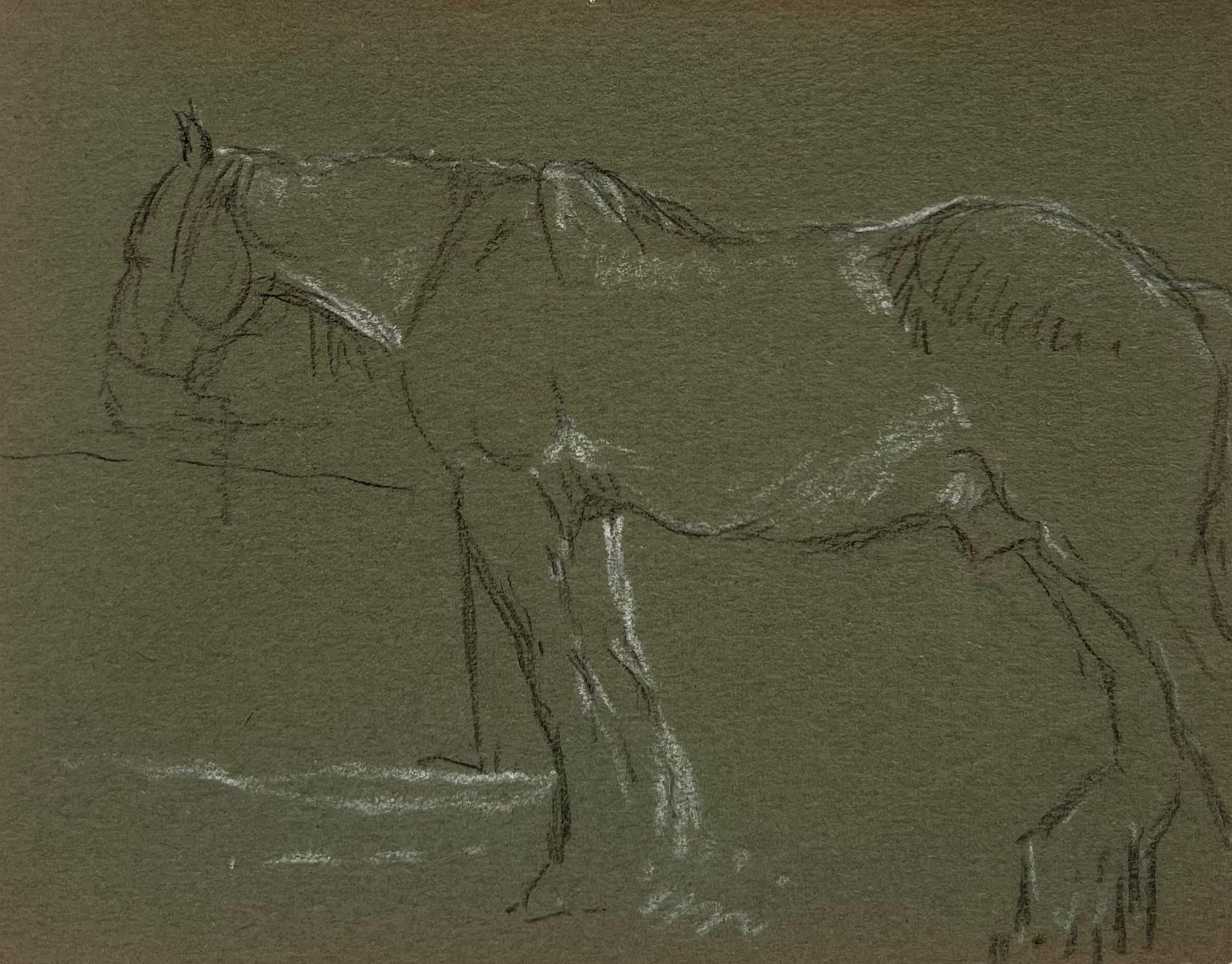 John Rabone Harveybritish Chalk Pencil Sketch Of A Horse With White Features Waiting At The Fence1966