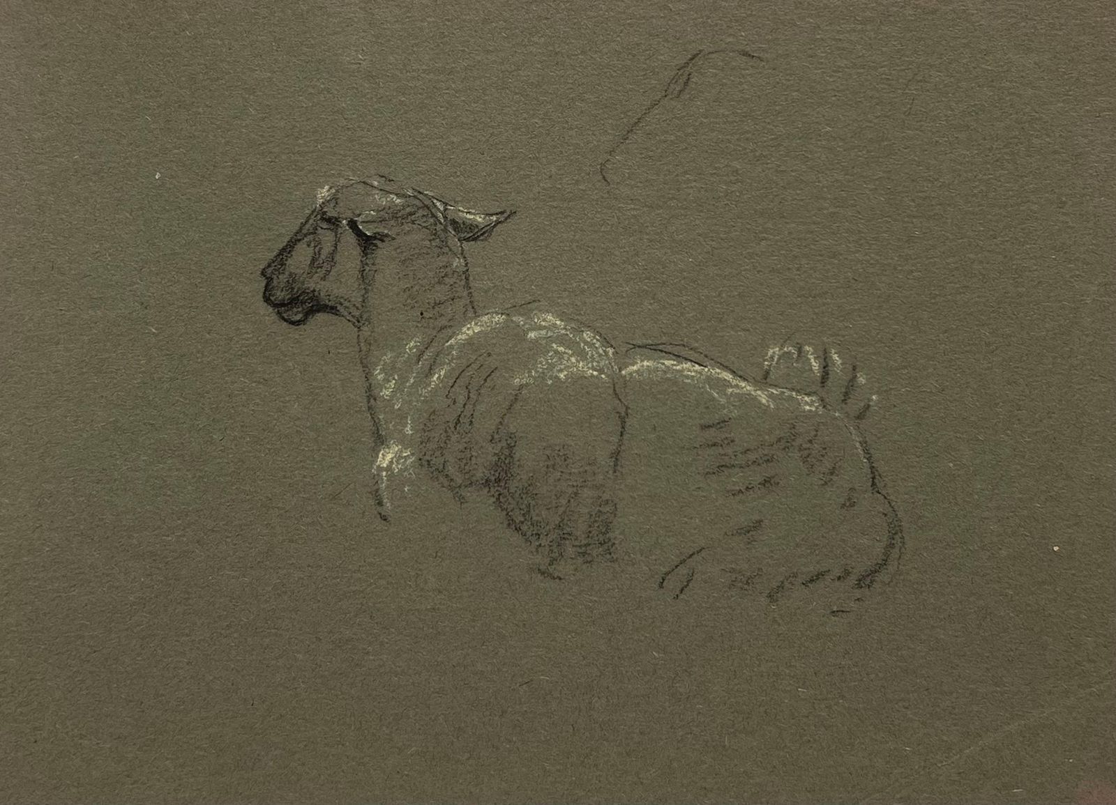 John Rabone Harveybritish Chalk Pencil Sketch Of Sheep Lying Down With Pricked Ears1966