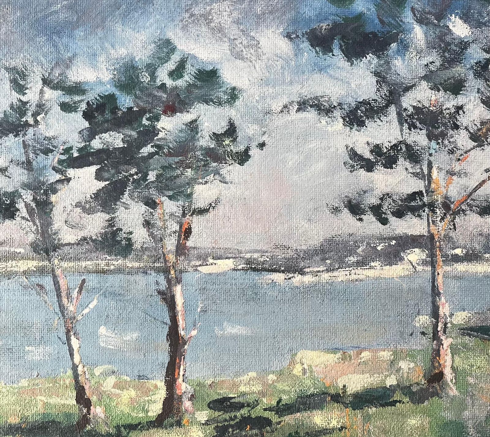Fanch Lelfrench Coastal Landscape With Windswept Trees At Golfe Du Morbihan Brittany photo buy