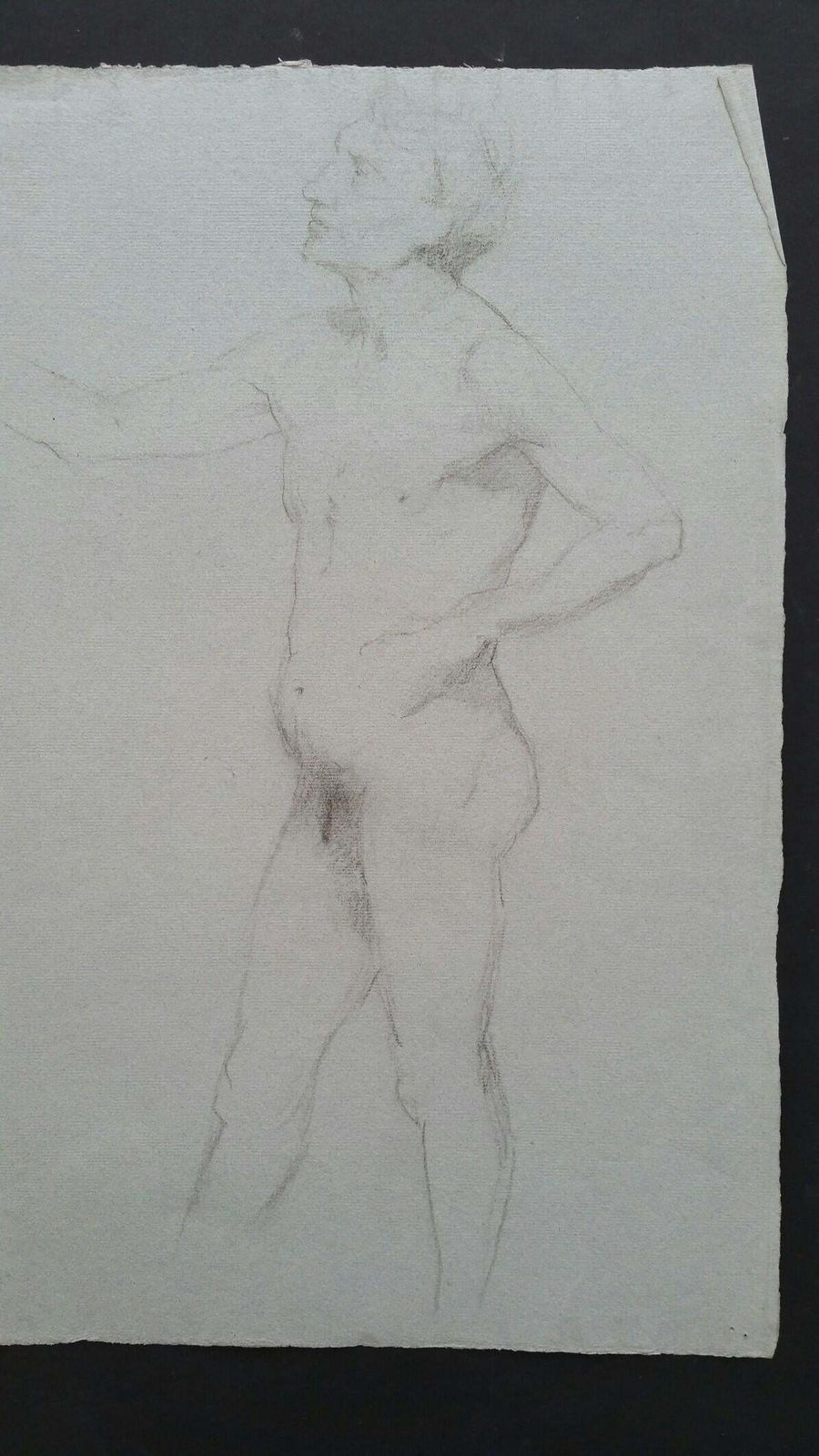 Unknownenglish Graphite Portrait Sketch Of Male Nude, In Profilecirca 1880 1905 photo buy