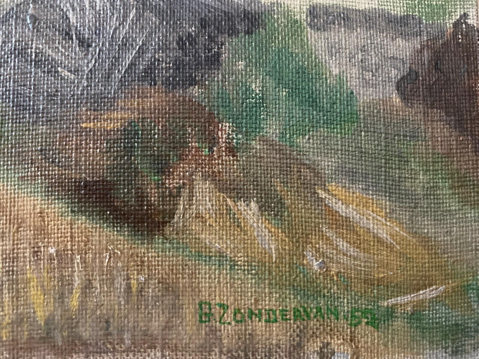 Unknowngenevieve Zondervan French Oil Painting, Rural Landscape Fieldscirca 1990s photo 484.0