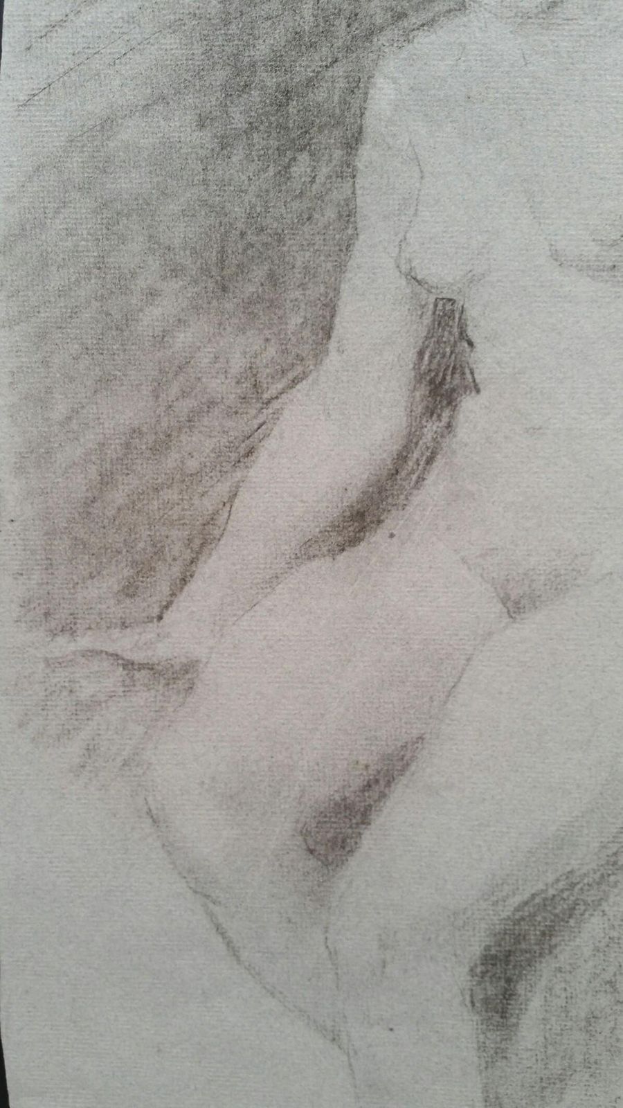 Unknownenglish Graphite Portrait Sketch Of Female Nude, Seatedcirca 1880 1905 photo Art