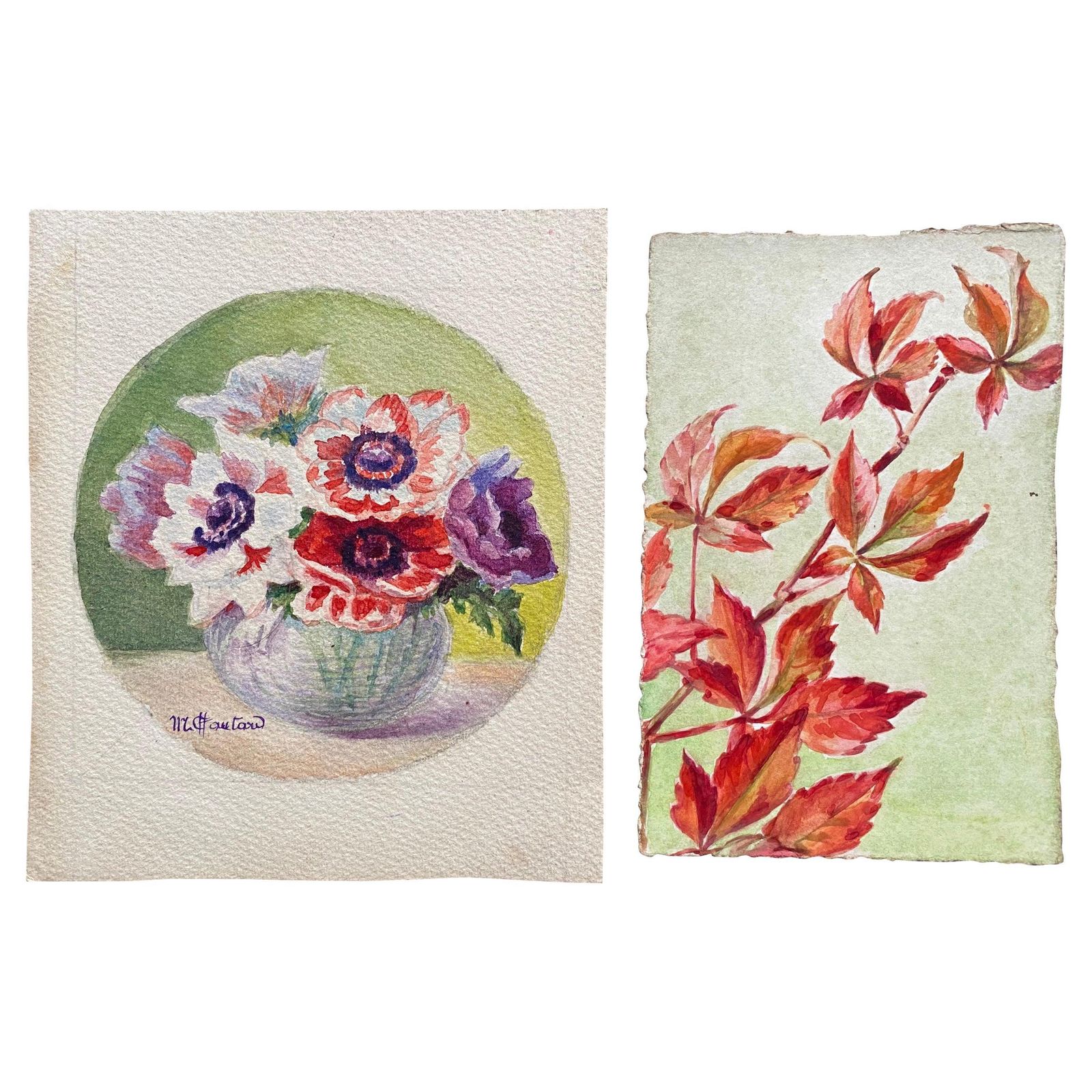 Unknownearly 1900's French Impressionist Signed Flower Watercolours Marie Carreaucirca 1900s