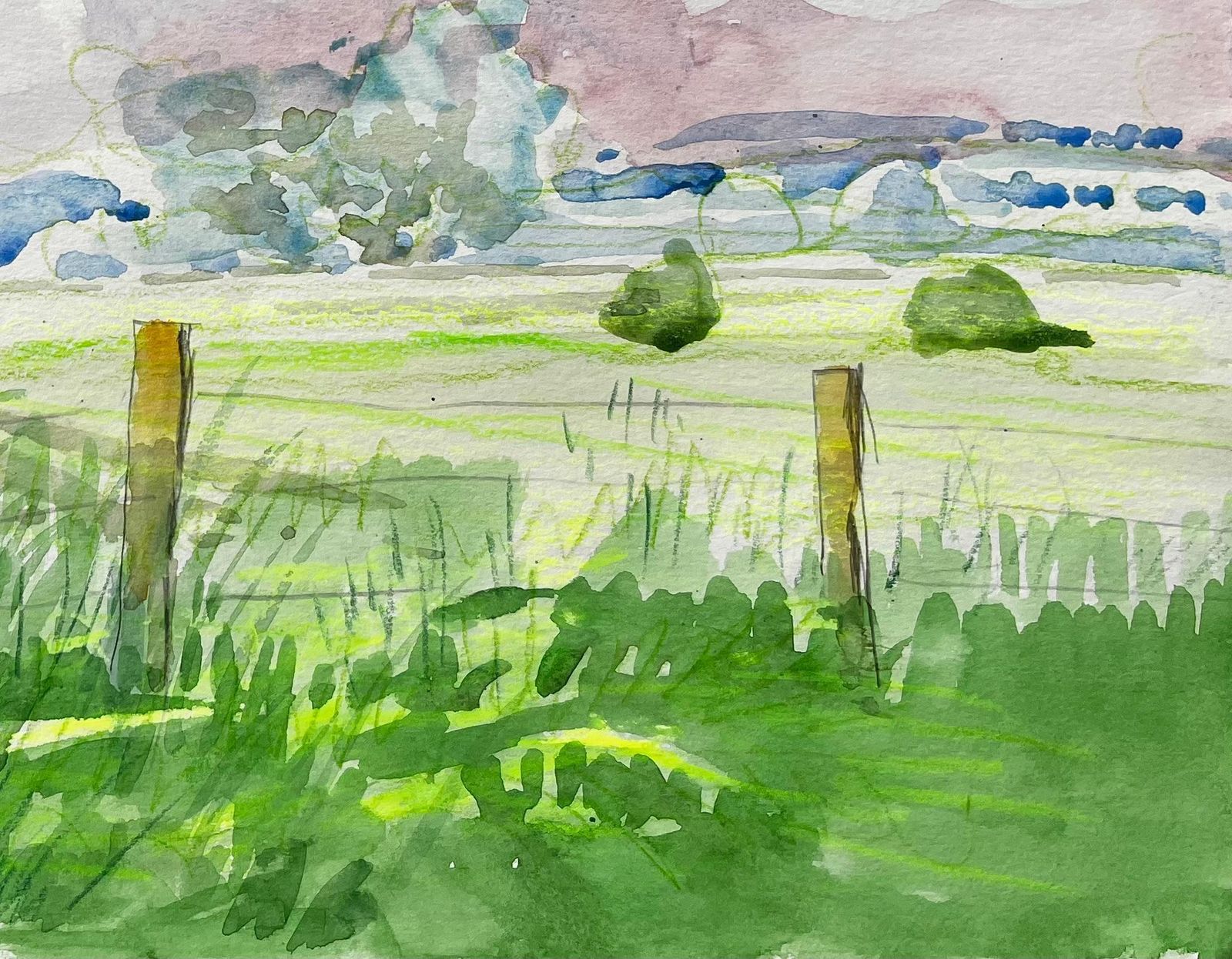 John Steane (B.1931)cuttleslowe Oxford Landscape With Trees Meadow And Summer Sky photo for sale