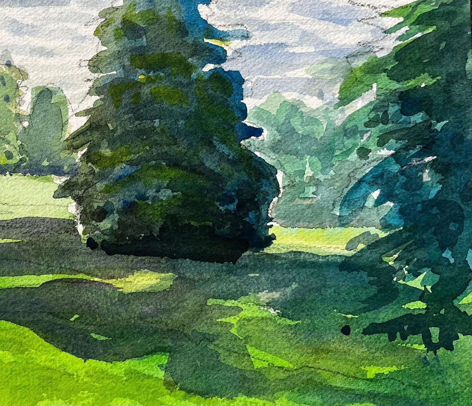 John Steane (B.1931)university Parks Oxford Landscape With Pine Tree And Summer Shadows photo for sale