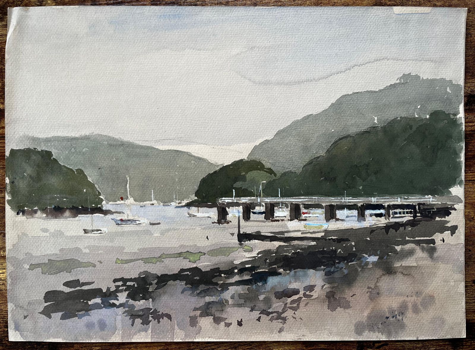 Anthony Herbert1982 Watercolour Of Dittisham River Dart Devon With Boats And Woodland Hills1982 photo furniture