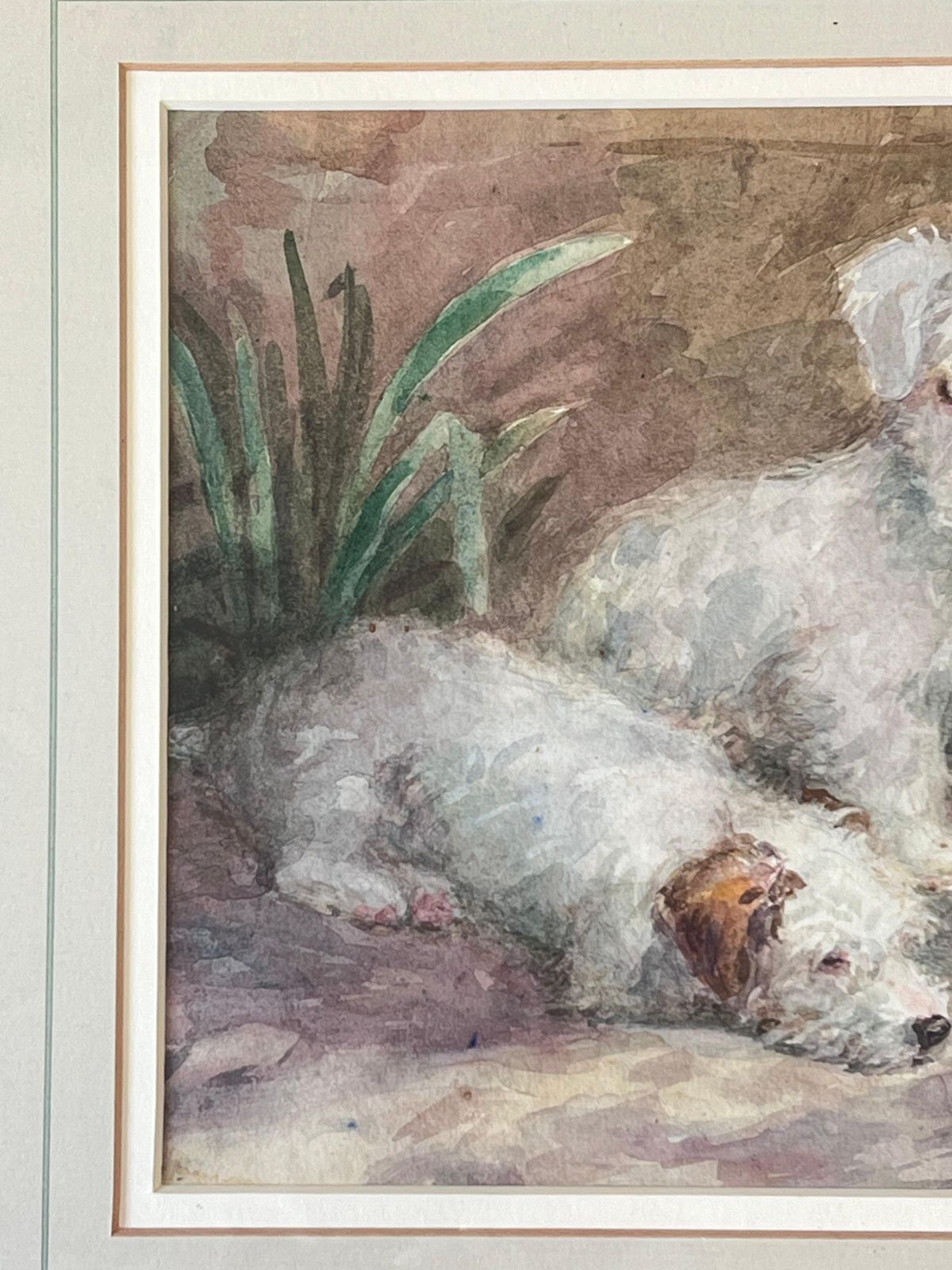 1930's English Artist1930's English Dog Painting Wire Fox Terrier Puppies Waiting To Be Fed Signed1936 photo 784.0