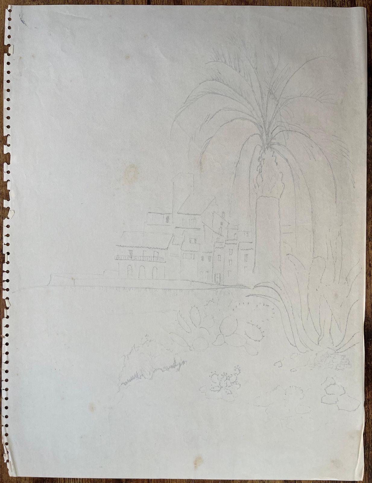 Anne Marie Migette Perardmid 20th Century Post Impressionist Drawing Of Antibes With Palm Tree And Cacti photo buy