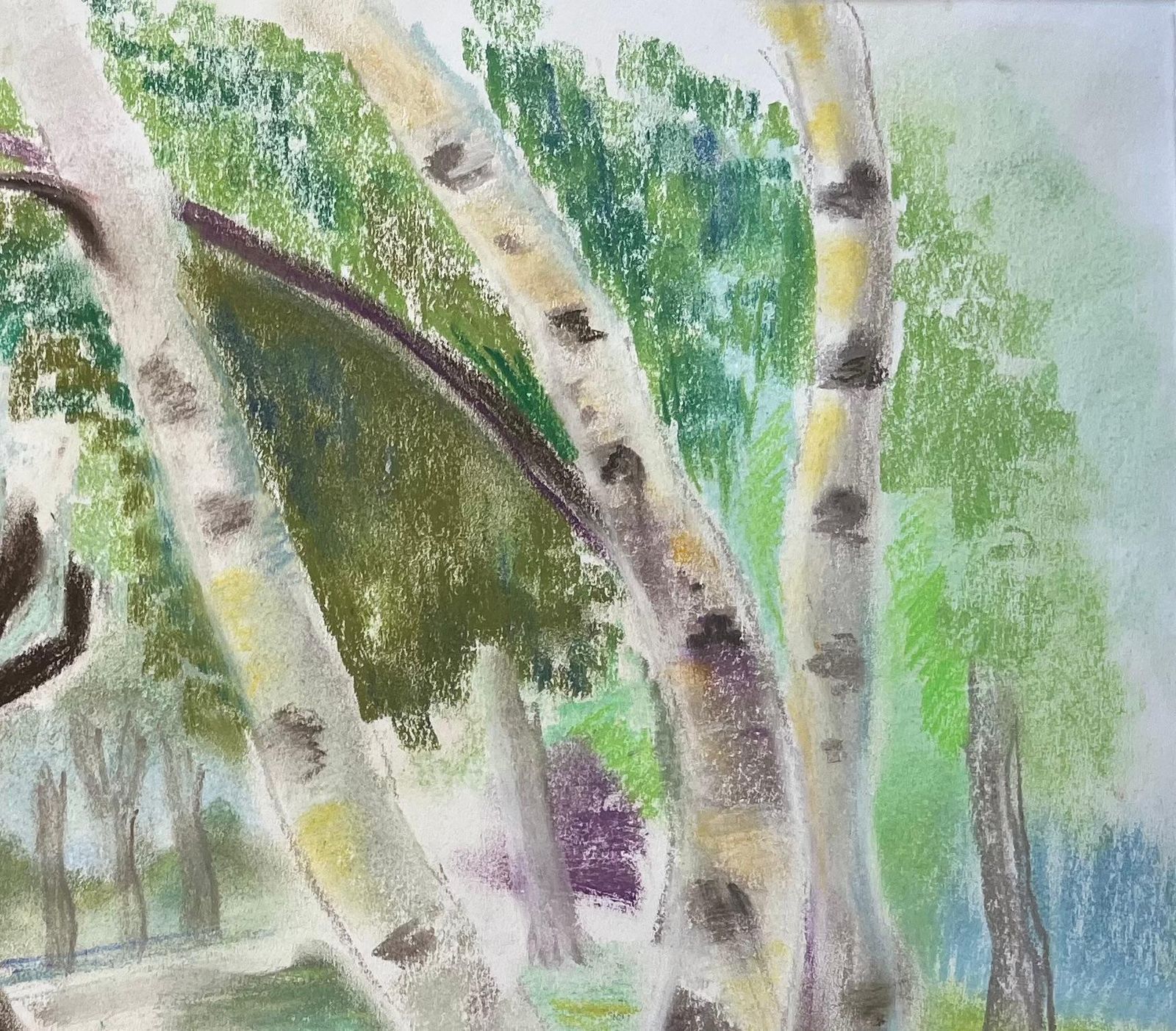 Anne Marie Migette Perardmid Century French Pastel Landscape Of Birch Trees In Summer Light photo buy