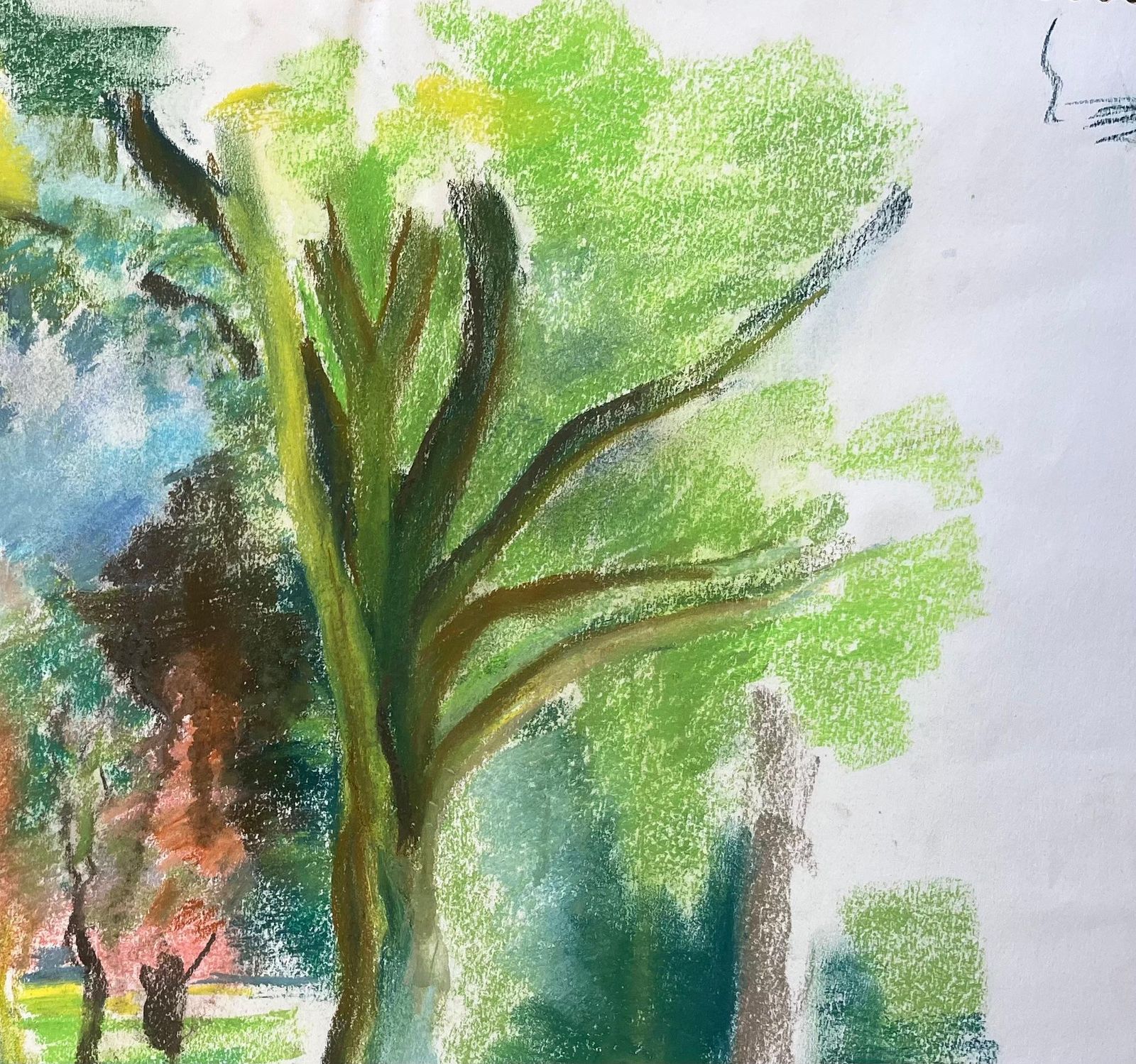 Anne Marie Migette Perardmid 20th Century French Pastel Landscape Of Trees In A Sunlit Public Garden photo Art