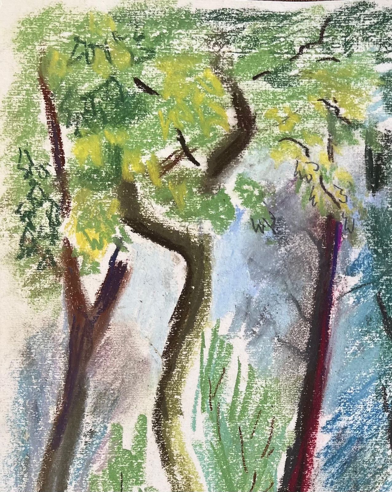 Anne Marie Migette Perardmid 20th Century French Pastel Landscape Of Forest Trees In Les Laudes photo for sale