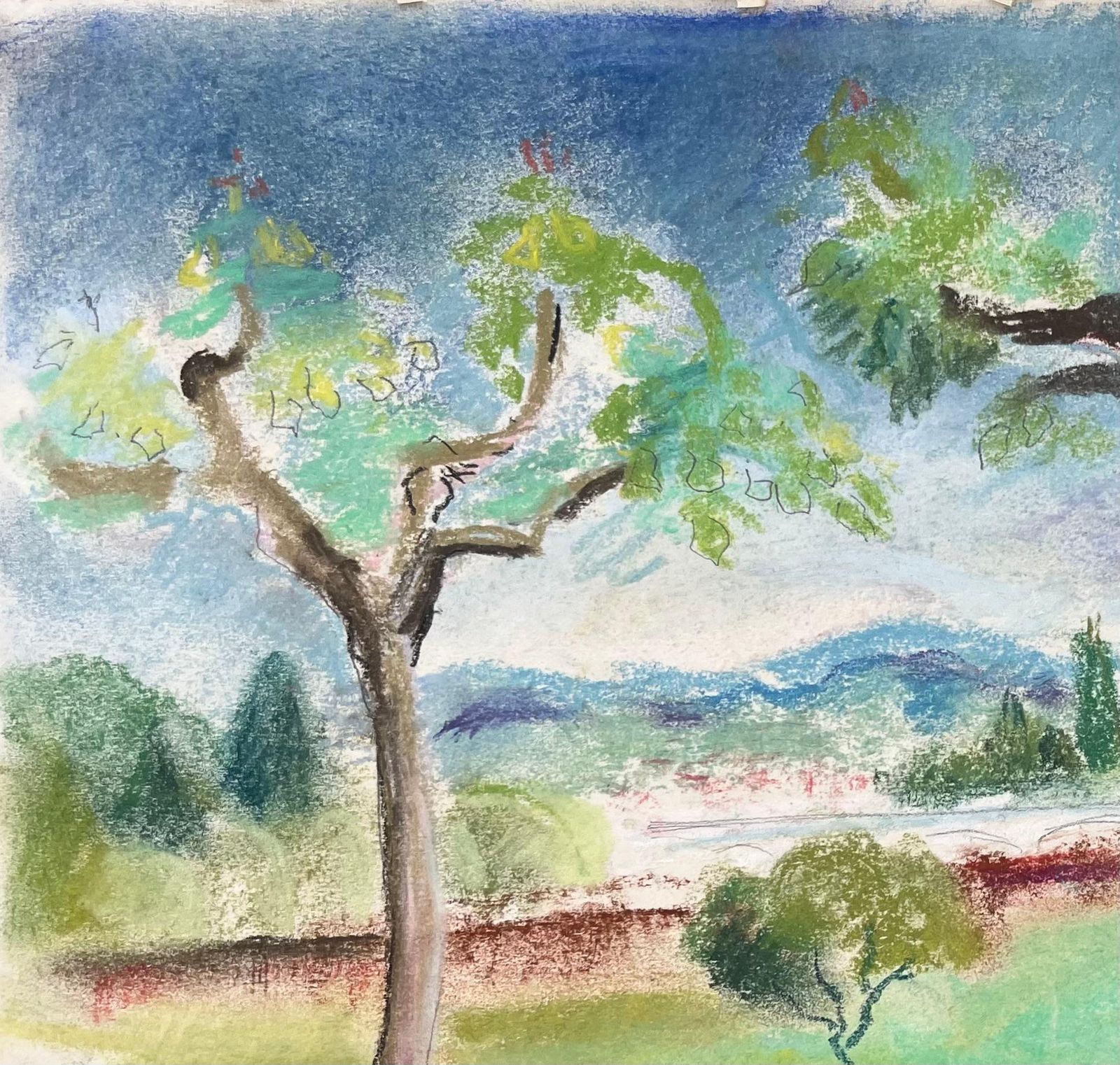 Anne Marie Migette Perardfrench Mid 20th Century Pastel Landscape Of Trees And Distant Hills photo for sale