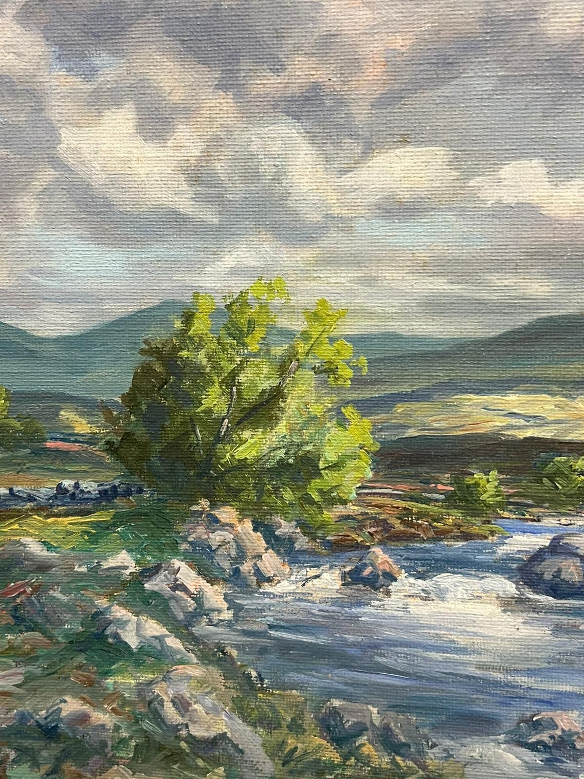 Irish Artist1950s Irish Landscape Signed Oil Painting Rolling Hills Flowing Stream Connemara photo Art