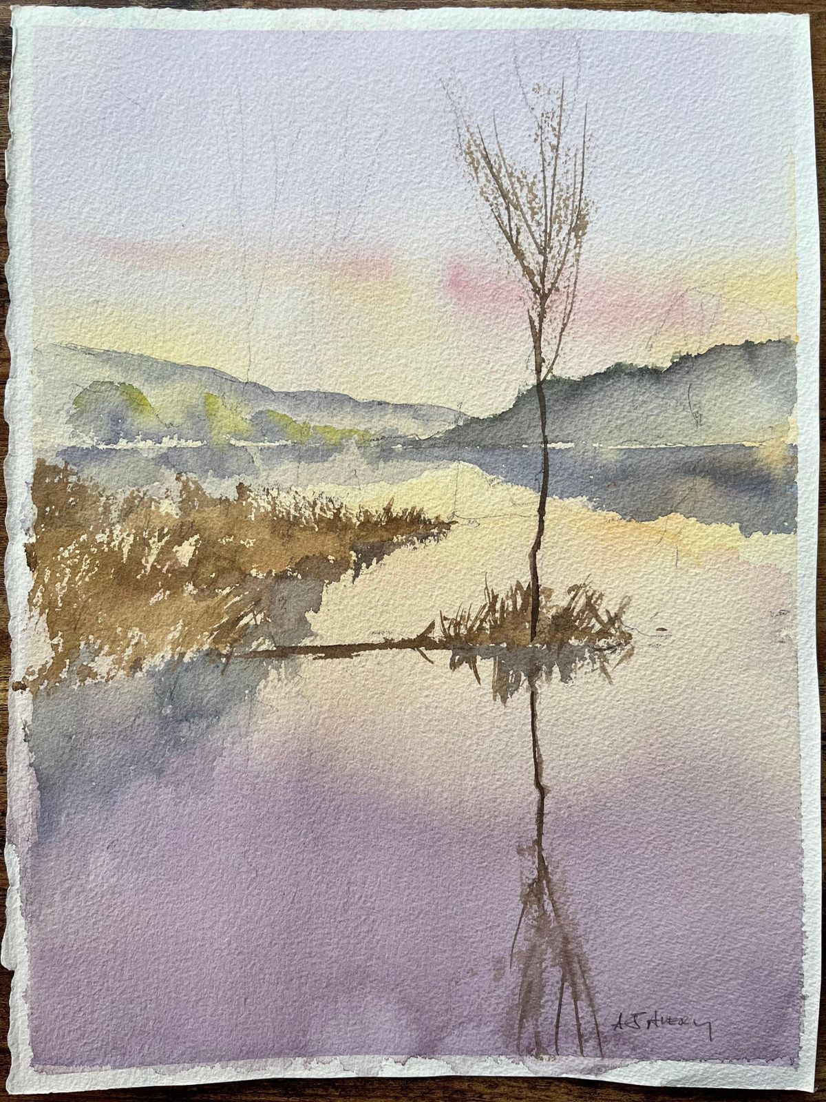 Anthony Averybritish Impressionist Watercolor Of A Tranquil Lakeside Scene At Sunset photo furniture